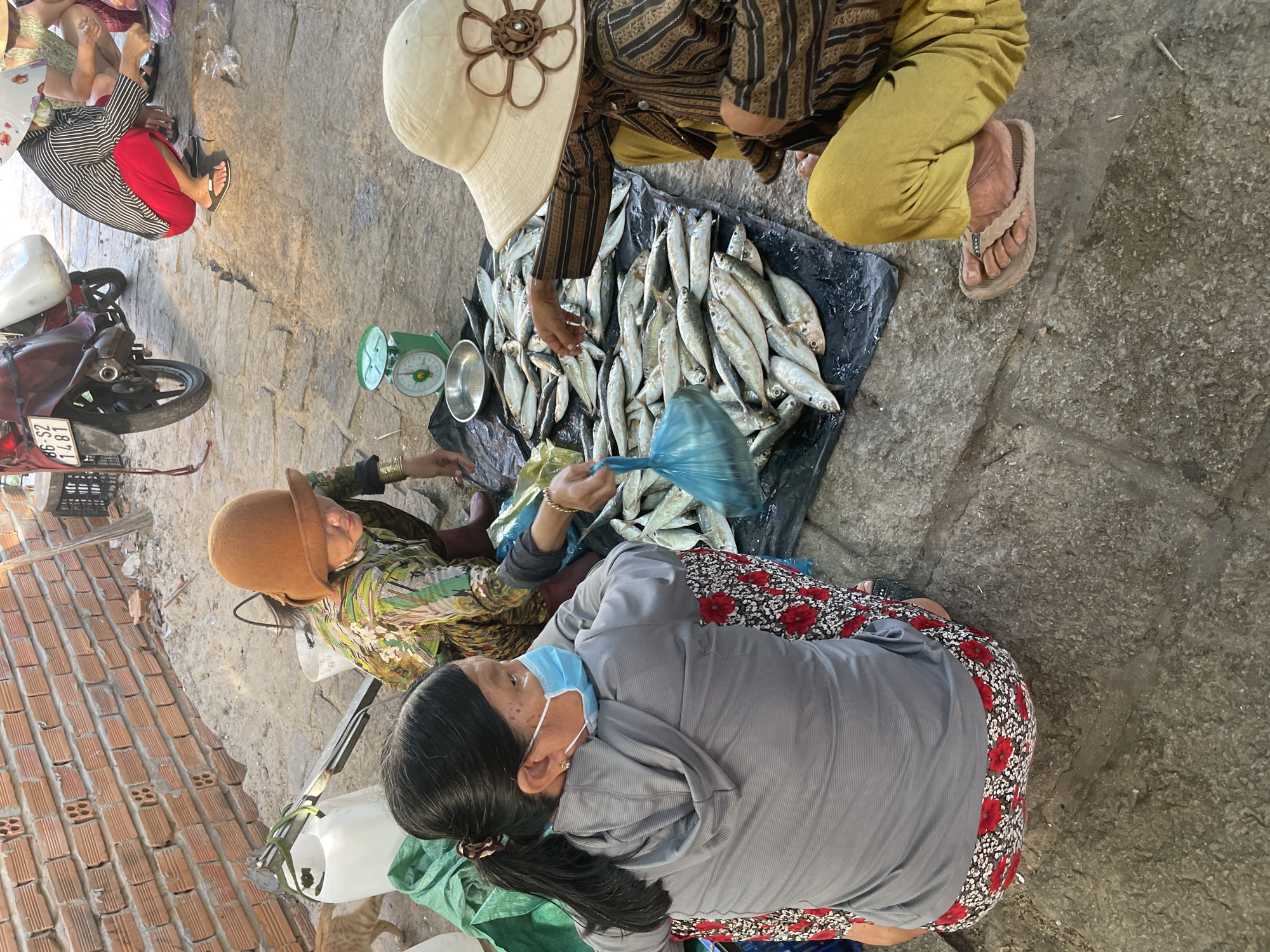 In Phu Thuy Ward, Vietnam, three individuals are engaged in commerce at an outdoor market. The scene is characterized by a stone ground surface, a brick wall in the background, and various goods.
On the left, a person wearing a grey hoodie and a floral patterned skirt is seated, facing away from the camera. They are wearing a light blue surgical mask. Beside them, a large white plastic container is visible.
In the center, another individual, wearing a brown bucket hat and a green and gold patterned shirt, is crouched. They appear to be interacting with the fish laid out before them.
To the right, a person wearing a wide-brimmed straw hat and a striped brown shirt with yellow pants is seated. They are wearing flip-flops and are also interacting with the fish.
A significant portion of the scene is occupied by a large quantity of small, silver-colored fish displayed on a black plastic sheet. A green scale with a metal bowl is also present, suggesting weighing of goods. A red motorcycle is parked in the background, and a ginger cat is partially visible on the left side of the image. The overall atmosphere suggests a bustling, everyday market scene.