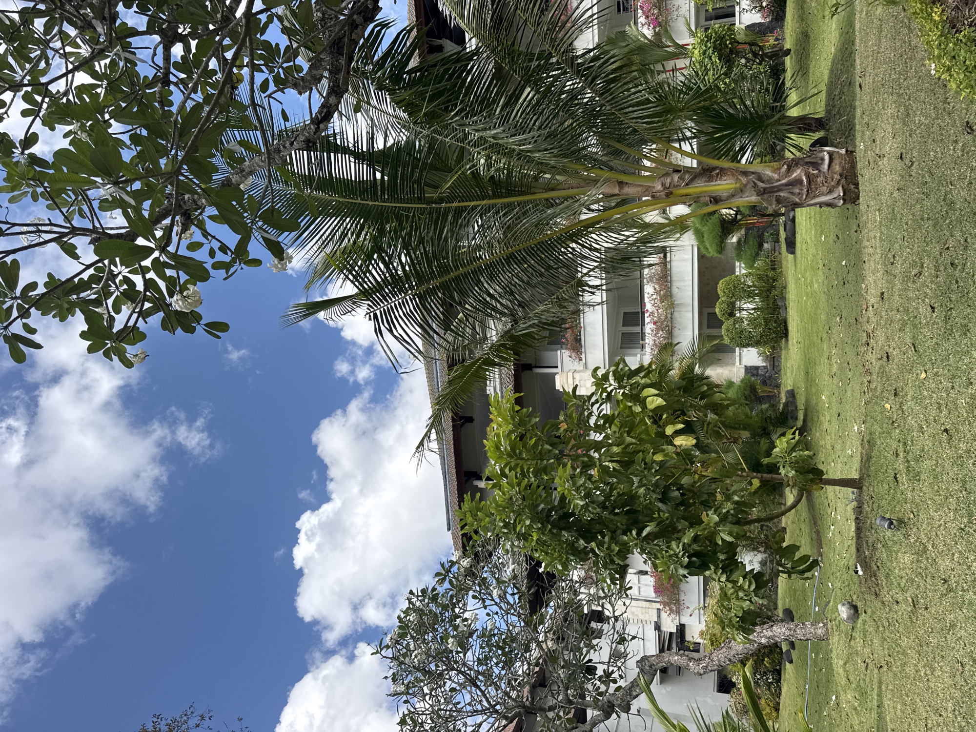 This is a photograph of a resort or hotel property in Kuta Selatan, Indonesia. The scene is dominated by lush green landscaping, featuring a well-maintained lawn, various trees, and flowering plants. In the foreground, a palm tree stands prominently, its fronds extending upwards. Behind the palm tree, a multi-story building with white walls and balconies is visible. The building appears to be an accommodation, with windows and decorative flowers on the balconies. The sky is a vibrant blue with scattered white clouds, indicating a sunny day. The overall impression is one of a tropical paradise, typical of a resort destination in Bali.