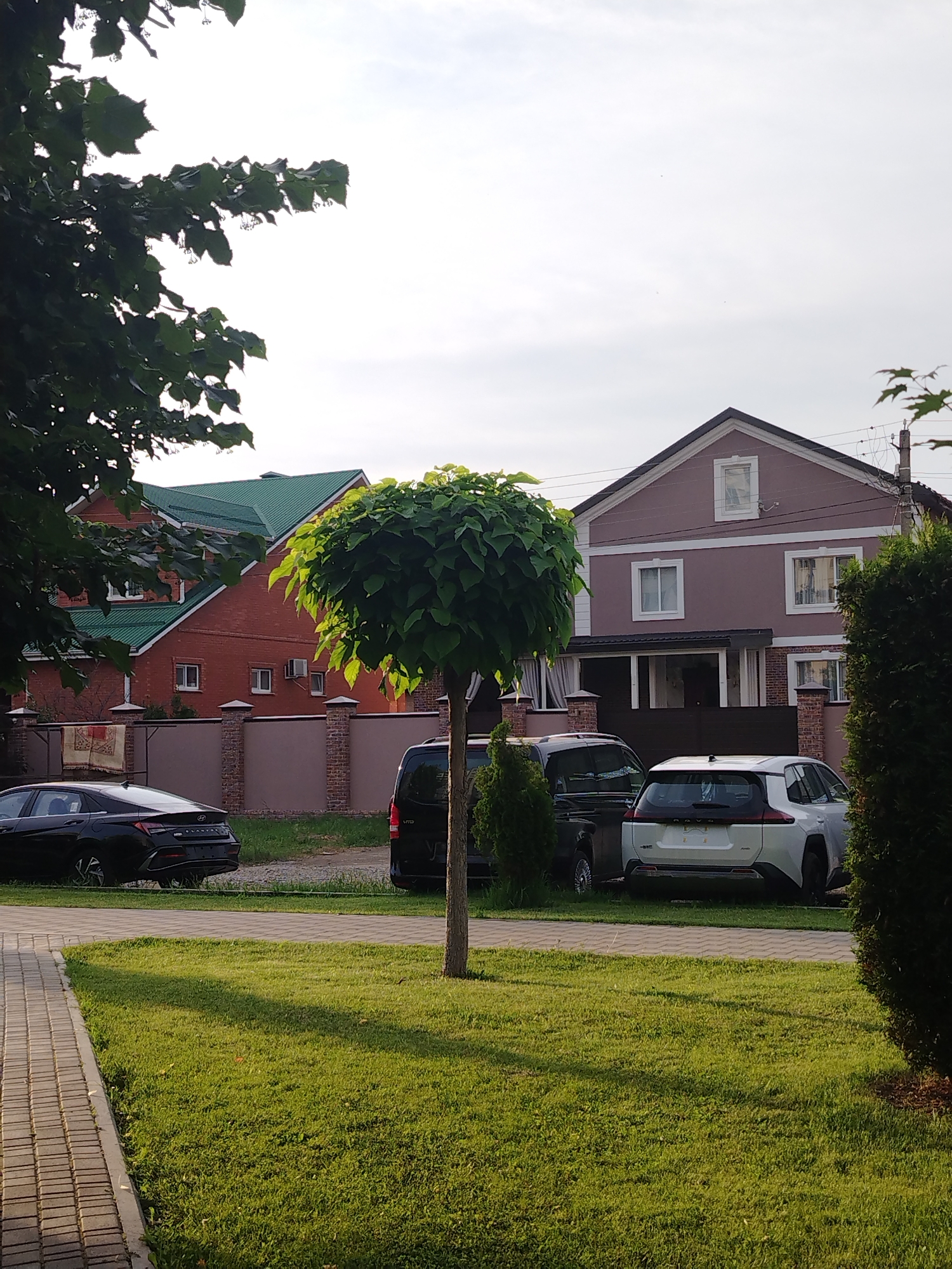 The image depicts a residential street scene in Krasnodar, Russia, bathed in the golden light of a setting sun. In the foreground, a paved walkway with brick edging runs along the left side, bordering a neatly manicured lawn. A small, round-topped tree stands in the middle of the lawn, its leaves illuminated by the sunlight. Beyond the lawn, several parked cars are visible: a black sedan on the left, a black van in the center, and a white SUV on the right.
In the background, two houses are visible. The house on the left is constructed of red brick with a prominent green roof and several windows. A brick fence with decorative columns separates the property from the street. The house on the right is painted a light mauve color with white trim around its windows and features a darker pitched roof. A covered porch area is visible on the front of this house. The overall impression is one of a quiet, suburban neighborhood enjoying the late afternoon sun.