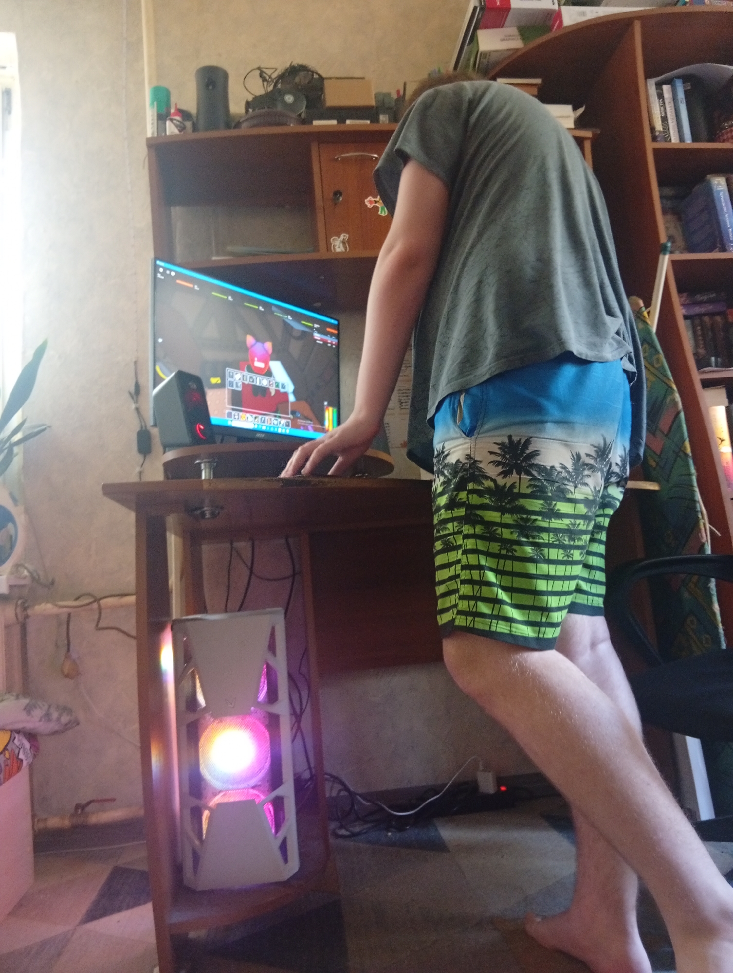 The image shows a person wearing a grey t-shirt and patterned swim shorts standing in front of a computer. The person's head is bent over, obscuring their face. The computer monitor displays a game with cartoon-like graphics. A white computer tower with colorful LED lights is visible beneath the desk. The scene appears to be a room with shelves on the right, filled with books and various items. The overall environment suggests a residential setting. The location is specified as Pushkino, Russia.