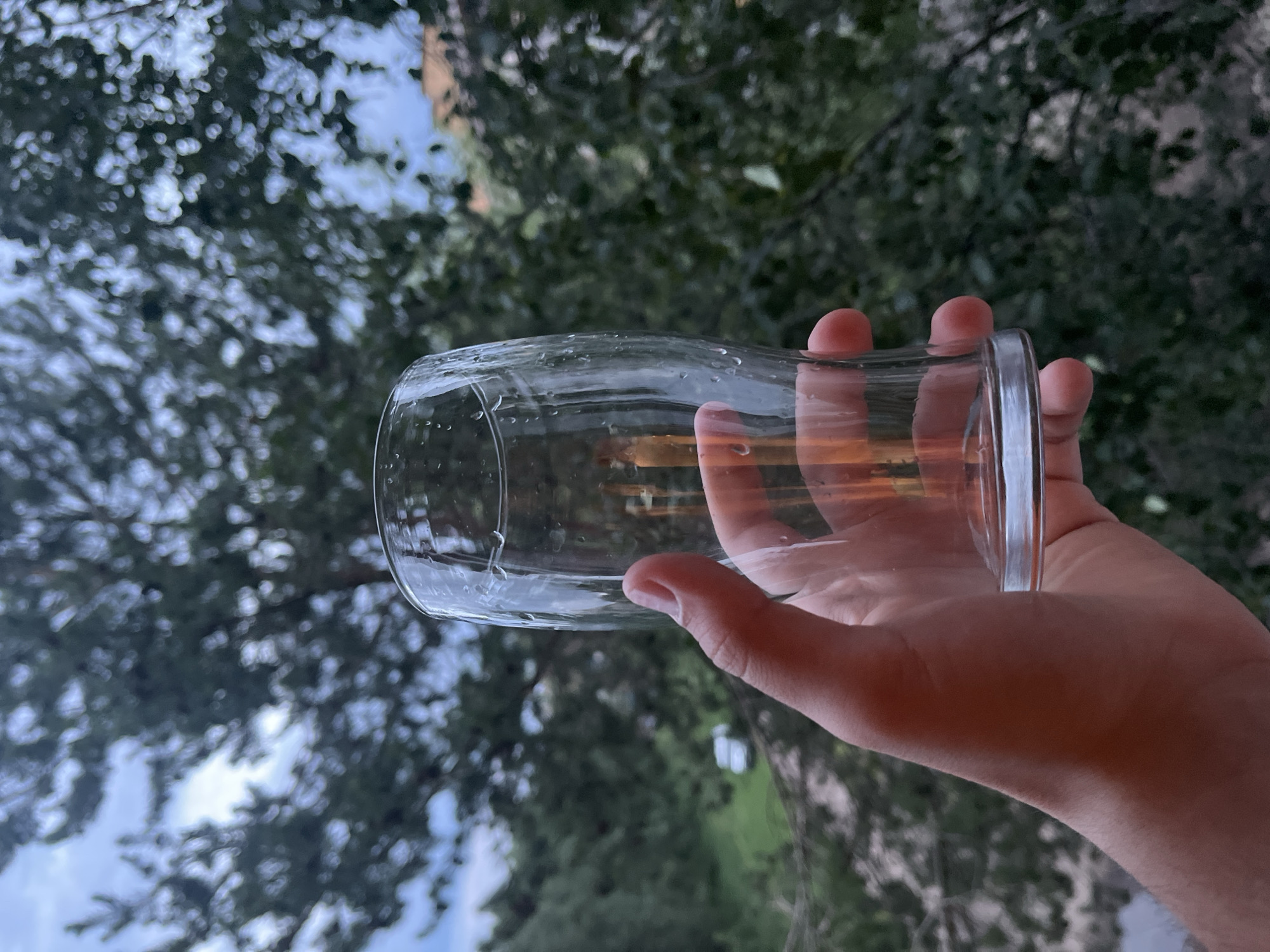 An outdoor, close-up, eye-level shot shows a person's hand holding a clear glass against a blurred background of trees and the sky. The glass is empty and has condensation on the outside. The hand is in focus, with fingers wrapped around the lower half of the glass. The background is out of focus, but appears to be a natural setting with green foliage and a cloudy sky. The overall impression is one of a casual, perhaps relaxed moment.