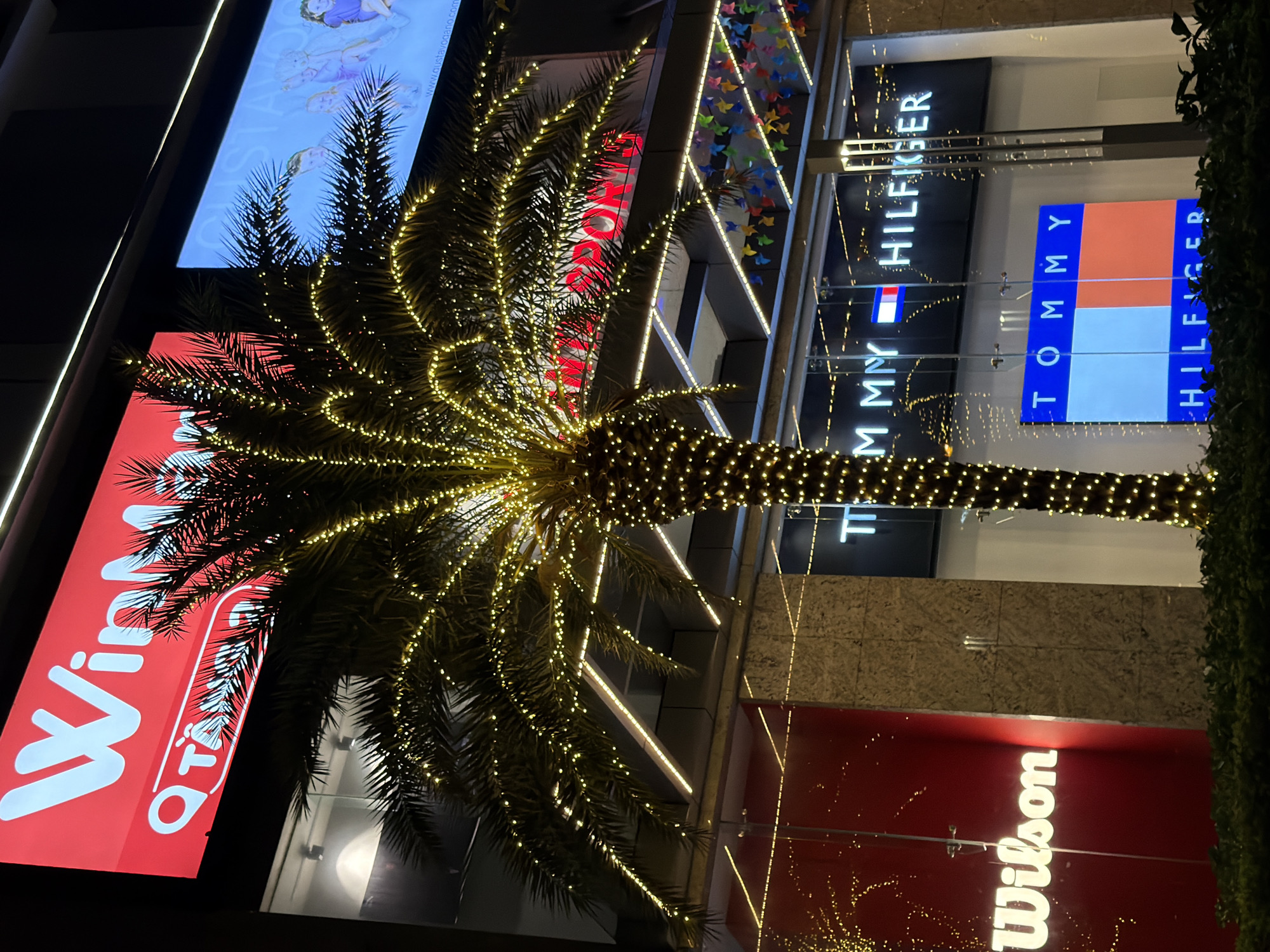 The image depicts the exterior of a commercial building at night, illuminated by decorative lights and neon signs. The prominent features include a large palm tree adorned with numerous small yellow lights, extending vertically through the frame. Above the palm tree, a large red sign with white lettering reads "WinMart" along with the text "TA". To the right of this, a blue-toned sign displays an illustration of people. Below these signs and behind the palm tree, the facade of the building is visible, featuring glass windows and textured walls. A prominent black sign with white neon lettering spells out "TOMMY HILFIGER". Further down, a large, illuminated Tommy Hilfiger flag logo is displayed. To the left of the palm tree, a red display with white lettering reads "Wilson". The scene is set in Nha Trang, Vietnam, specifically in front of a WinMart supermarket.