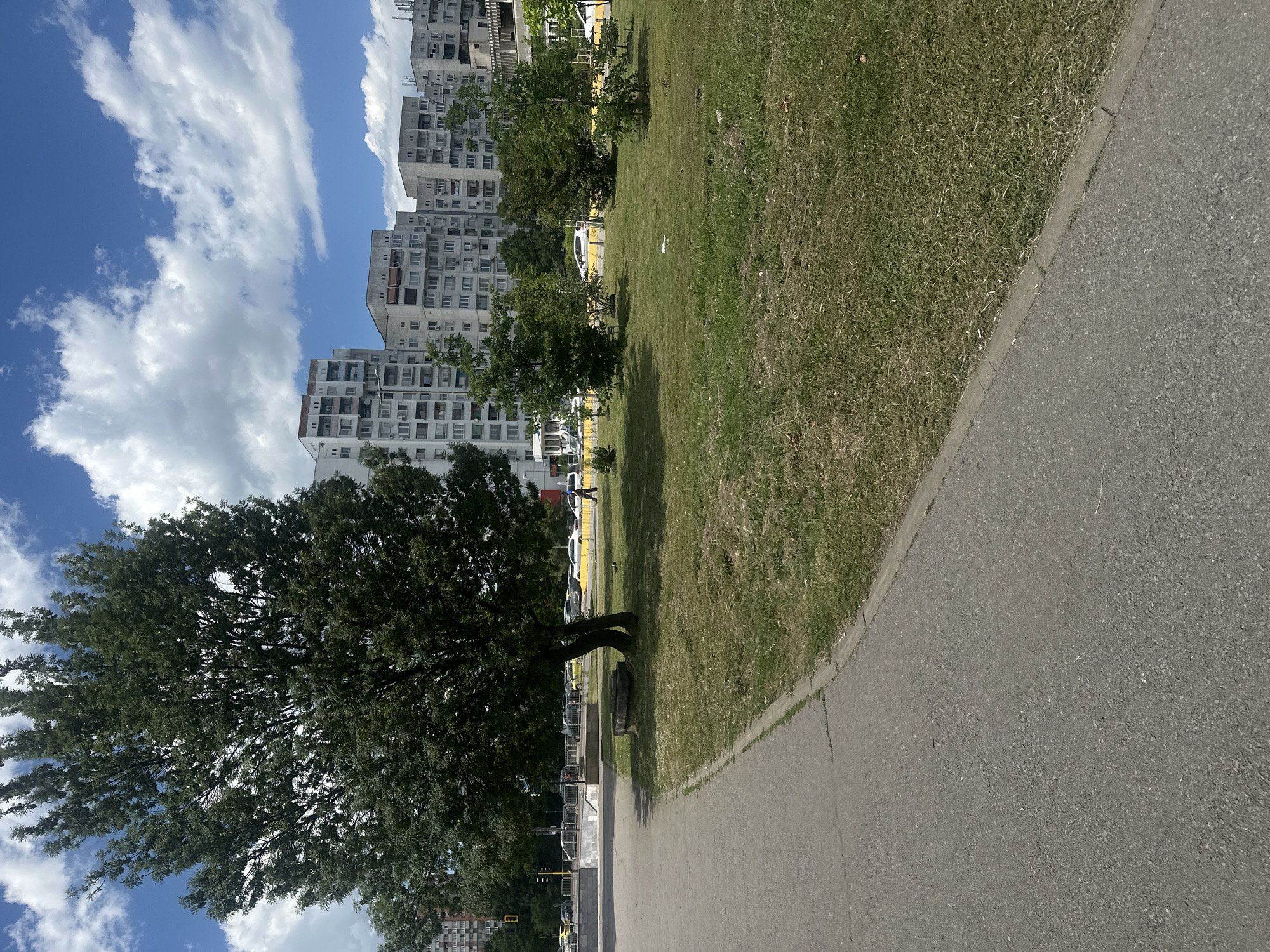 The image shows a street scene in Sofia, Bulgaria, with a large tree in the foreground. Behind the tree, there are several multi-story apartment buildings in the background, characteristic of Soviet-era architecture. A paved sidewalk runs along the left side of the image, and a grassy area with some smaller trees is to the right of the sidewalk. A street with yellow taxis is visible in the middle ground, with traffic lights and street signs in the distance. The sky is blue with fluffy white clouds. A single person is walking on the sidewalk in the middle ground.