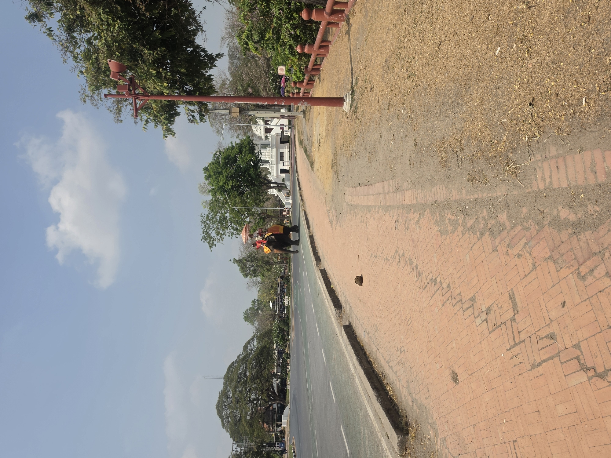 The image depicts a street scene in the Historic City of Ayutthaya, Thailand. A road runs through the center, flanked by a brick sidewalk on the right and trees on the left. An elephant with riders is walking along the road. A red traffic light pole stands near the sidewalk. The sky is blue with some clouds.