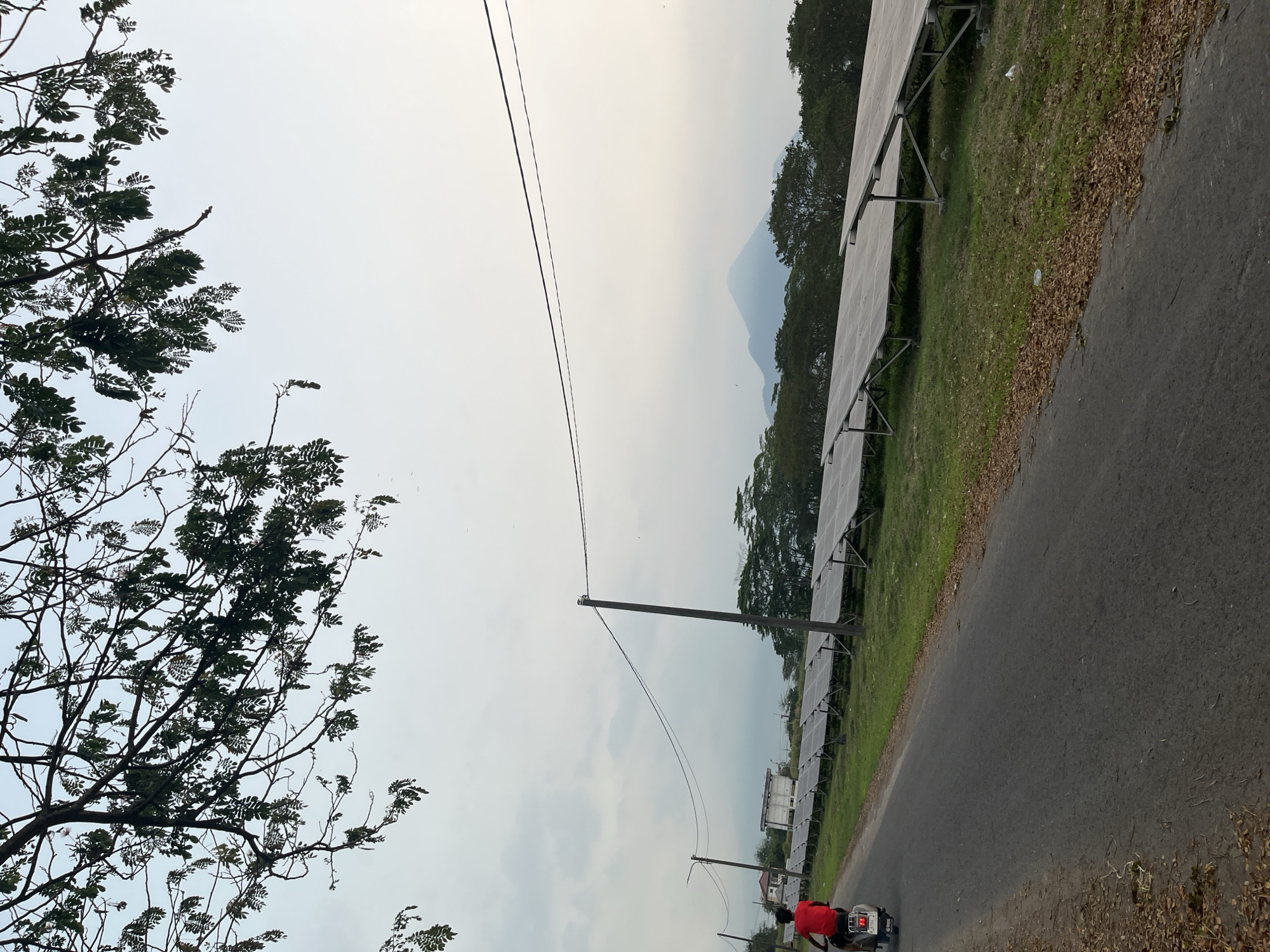 A person on a scooter is seen from behind, traveling on a paved road that borders a large solar panel array. The scooter is white and the rider wears a red shirt. The solar panels are arranged in neat rows and are mounted on metal frames. Behind the solar panels, there is a line of trees, and further in the distance, a hazy mountain range is visible. Overhead, tree branches with green leaves extend into the frame from the top. The sky is overcast. In the background, there are some buildings, including what appears to be a large white structure. The scene is set in an outdoor environment, likely in a rural or semi-rural area.