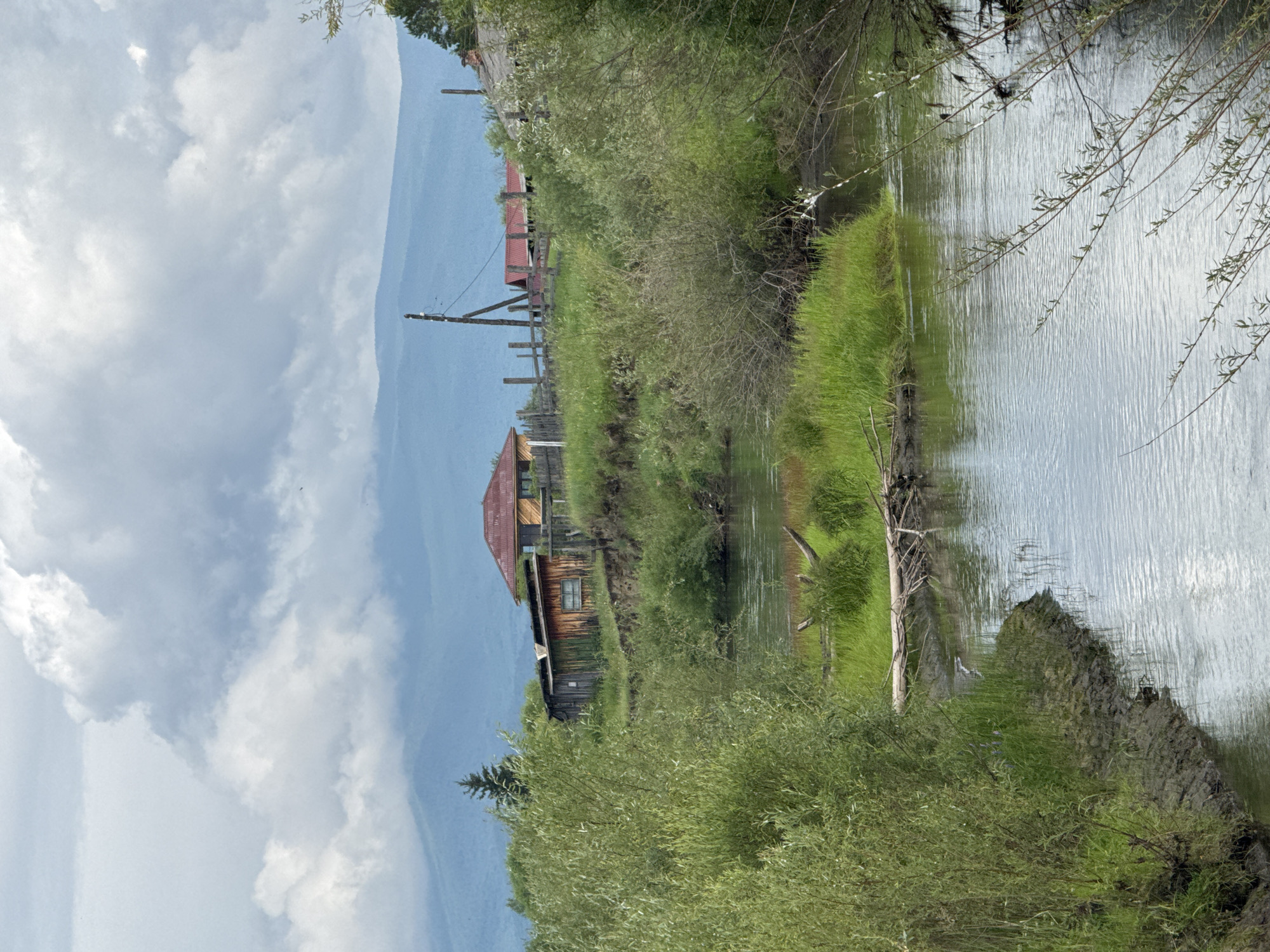 The image depicts a rural scene in the village of Zhemchug, Russia, featuring a winding river in the foreground and a cluster of buildings and a distant mountain range in the background. The river, with its calm, reflective surface, flows from the left side of the frame towards the right, bordered by lush green vegetation and muddy banks. On the right bank, a fallen tree trunk lies partially submerged in the water, with branches extending towards the grassy bank.
In the middle ground, several rustic wooden structures are visible on a grassy incline. One building has a weathered wooden facade and a visible window. Another building behind it appears to have a red corrugated metal roof. A wooden fence, with posts and horizontal planks, encloses part of the area. A single, dark green conifer tree stands behind the buildings, and a wooden utility pole with wires is also present. The landscape is characterized by rolling hills covered in dense green grass and bushes, with a prominent mountain range in the far distance, shrouded in a hazy blue hue. The sky above is filled with dramatic, heavy clouds, suggesting overcast or impending weather. No people are visible in the image.