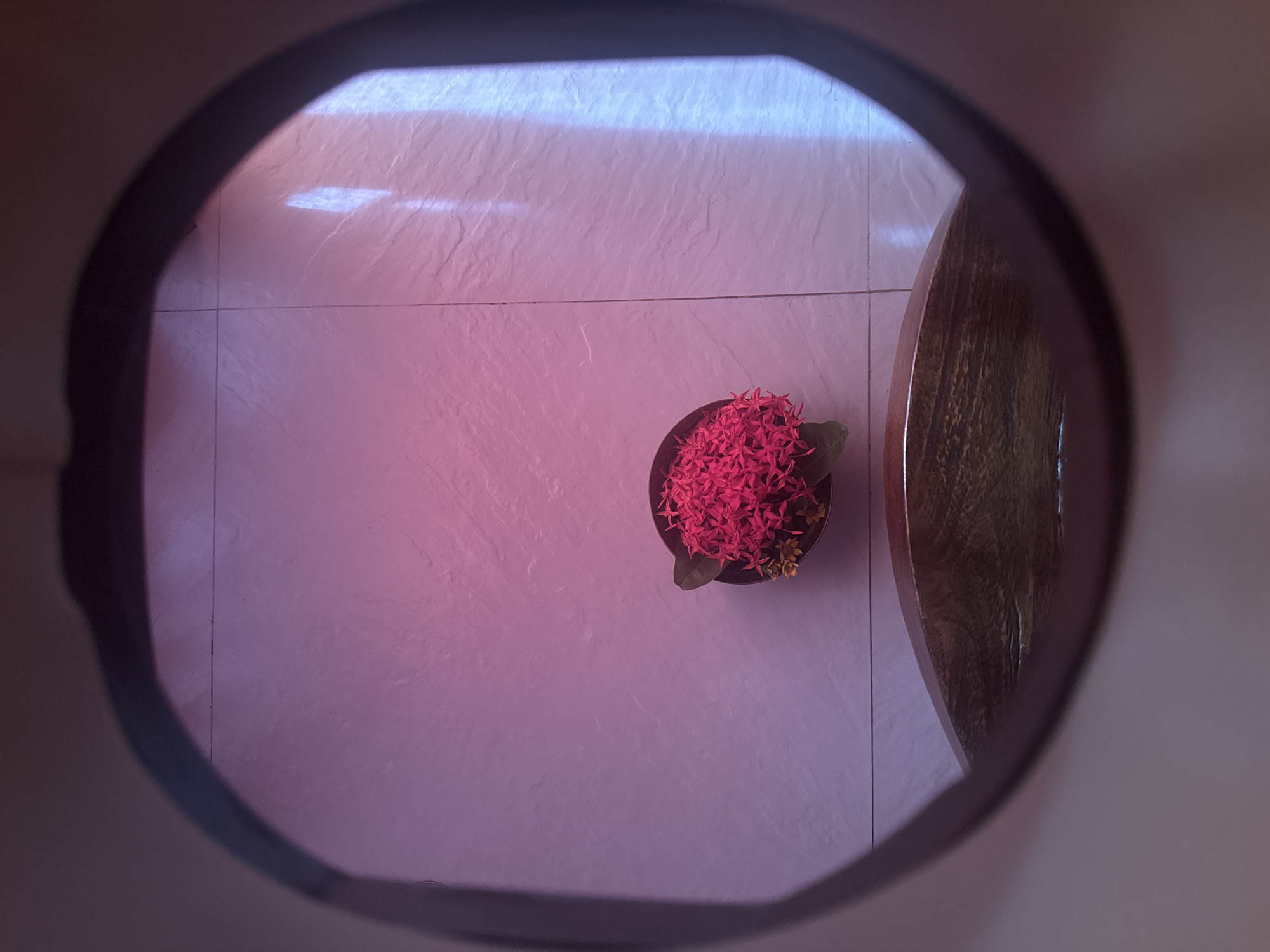 The image displays an overhead view of a tiled floor and a potted plant, captured through a dark, circular frame that blurs the edges. The central focus is a dark pot overflowing with a dense cluster of small, vibrant pinkish-red flowers, likely Ixora. These flowers have a rich, deep hue and appear to be in full bloom.
The floor beneath is composed of light-colored, possibly white or pale grey, square tiles with visible grout lines. A distinct lighting scheme illuminates the scene: the upper portion of the tiled floor is brightly lit with a cool, blue-white light, suggesting natural daylight streaming in. This illumination creates a noticeable color shift, causing the floor to appear pinkish-purple in the areas less directly hit by the blue light, particularly around the plant.
To the right side of the frame, a section of dark, textured wooden furniture, possibly a table or a bench, is partially visible, cut off by the circular border. The wood exhibits a discernible grain pattern. There are no people present, and no discernible activity is taking place. The scene suggests a quiet interior or semi-outdoor space, such as a patio or balcony, common in tropical regions like Kuta Selatan, Indonesia. No text is visible in the image.