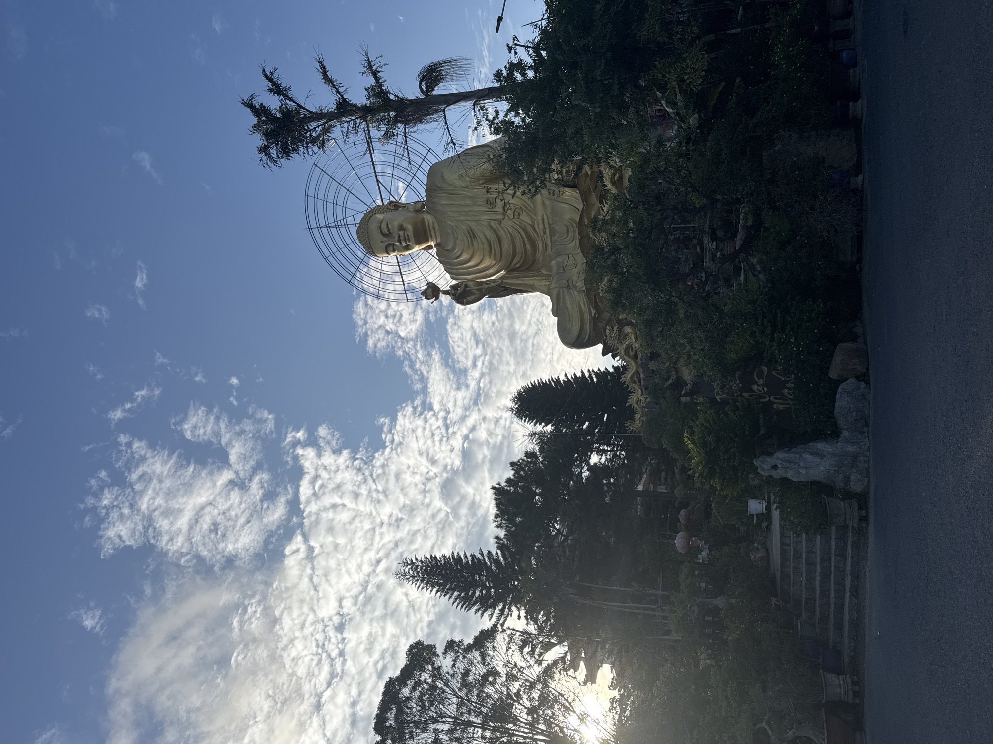 The photograph showcases a large, golden Buddha statue seated atop a hill, bathed in the warm light of a setting sun. The statue, with its serene expression and a lotus flower held in its right hand, is the focal point of the image. Behind the Buddha, a circular metal structure, possibly part of a halo or an artistic installation, creates a halo effect against the vibrant blue sky dotted with fluffy white clouds.
The hill is covered with lush green trees and bushes, with a set of stone stairs leading up from a paved road in the foreground. The presence of various potted plants and decorative rocks suggests a meticulously landscaped garden or temple grounds. In the background, tall coniferous trees and palm trees add to the natural beauty of the scene. The overall atmosphere is peaceful and spiritual, with the golden hues of the Buddha statue contrasting beautifully with the natural landscape and the dramatic sky.
This majestic statue is a prominent landmark in Lâm Viên - Đà Lạt, Vietnam, a city known for its picturesque landscapes and spiritual sites. The statue is part of a Buddhist complex, likely a temple or a monastery, which attracts pilgrims and tourists alike. The serene setting and the grandeur of the Buddha statue make it a place of contemplation and admiration.