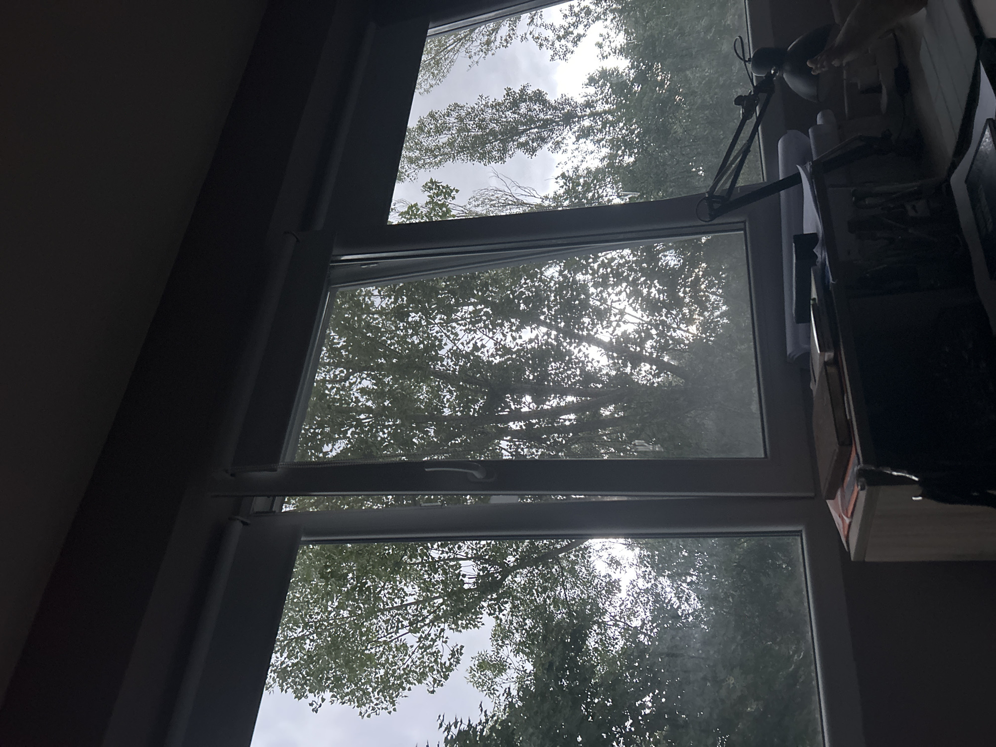 The media file presents an indoor perspective looking out of a multi-pane window during the daytime. The image is oriented vertically, showcasing a strong contrast between the dimly lit interior and the bright, natural light from outside.
Outside the window, a dense expanse of trees with numerous green leaves is visible, creating a lush canopy. The sky appears bright through and above the foliage, suggesting either a sunny day with light filtering through the leaves or an overcast sky providing diffused illumination. The window features a modern, possibly dark grey or black frame, divided into three distinct horizontal panes. The central pane is noticeably ajar, tilted inwards from the top, indicating the window is open.
To the right of the window, within the interior space, parts of a desk or shelf are visible. A black, articulated desk lamp with a round head is positioned here, its arm extending across the upper right portion of the window frame. Below the lamp, several rolls of white material, possibly paper or fabric, are stacked. In the upper right corner, a human hand is visible, reaching into the scene, potentially interacting with items on the desk or adjusting the lamp. Further to the right, a dark, rectangular object, possibly a cabinet or piece of furniture, is partially visible. The interior walls on the left side of the frame are dark and unadorned. No visible text is present in the image. The scene is located in Sofia, Bulgaria.