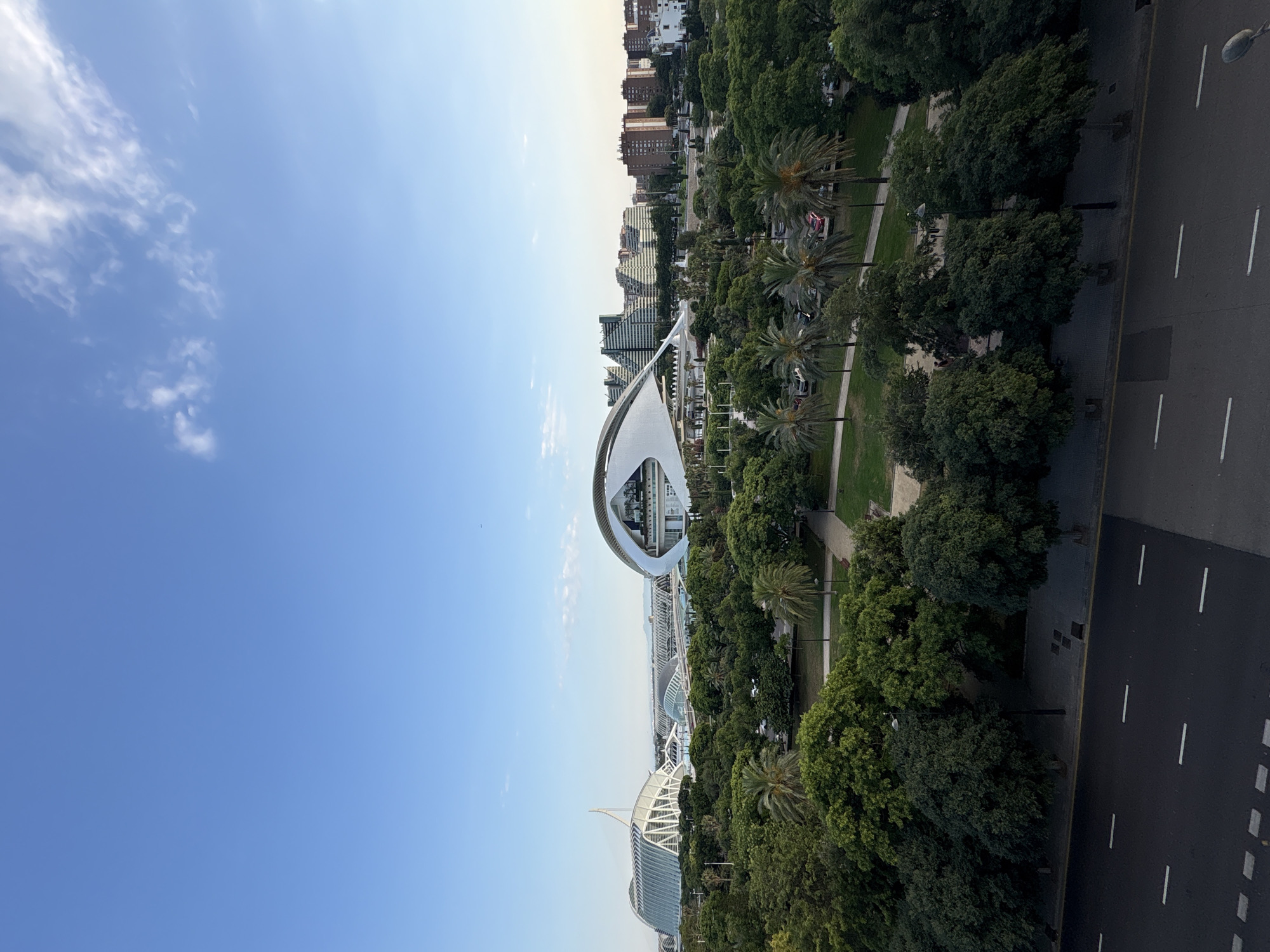This is a high-angle, vertical, full-shot photograph taken of the City of Arts and Sciences in Valencia, Spain, on a clear day with some scattered clouds. The sky is a vibrant blue. In the foreground, a dark asphalt road with white lane markings runs across the bottom of the frame. Behind the road is a sidewalk and a dense green park filled with numerous trees, including palm trees, and green grass areas. In the mid-ground, the modern architectural complex of the City of Arts and Sciences is visible. The most prominent structures are the curved, white, and glass Hemisfèric with its eye-like design and the large, white, curved roof of the Palau de les Arts Reina Sofía. Further back, more buildings of the complex are visible, along with city buildings in the background, including several high-rise apartment buildings. The overall scene depicts a fusion of nature and striking contemporary architecture within an urban setting.