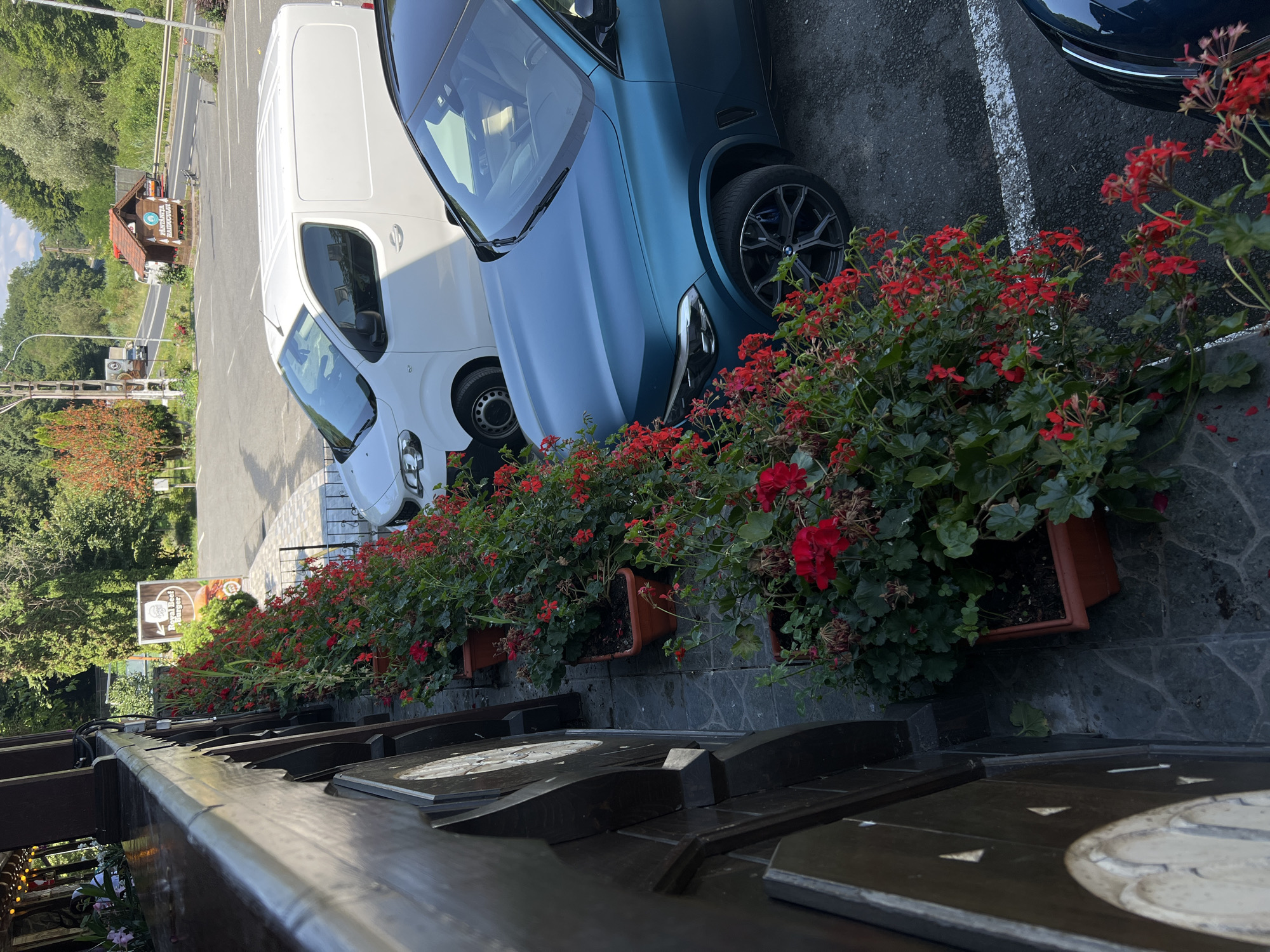 The image depicts a scene in front of a building with a wooden facade and a railing. A row of potted plants with red flowers lines the walkway. In the background, there is a parking lot with several vehicles, including a white van and a dark teal BMW SUV. A sign for "Royal Beef Burger" is visible on a stand. Further in the background, there is a road with trees and a small building that appears to be a roadside establishment, possibly a restaurant or a market, with a sign in Romanian that reads "PÂRÂUL HAIDUCULUI". This establishment is located on DN1, near Șelimbăr, Romania. The overall environment appears to be a commercial area with natural elements.