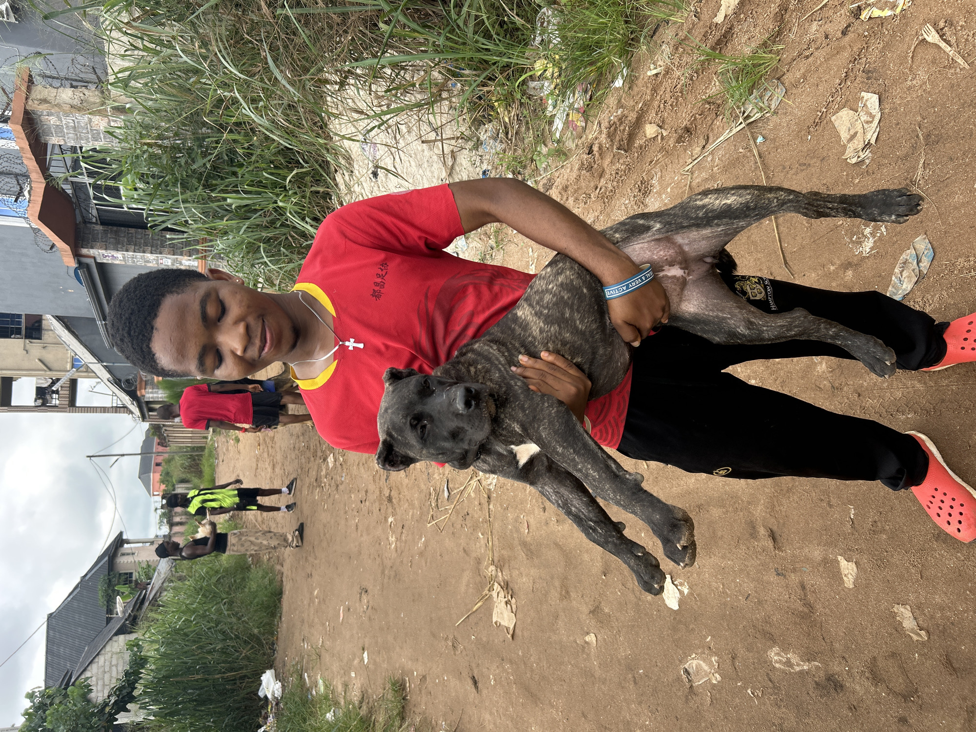 In the city of Ihiagwa, Nigeria, a young man is pictured outdoors holding a large, dark-brindle colored dog. The man wears a red t-shirt with a yellow collar and black track pants. He has a silver necklace with a cross pendant and a blue wristband. The dog is held cradled in his arms and appears to be a Mastiff breed, with floppy ears and a broad head.
The setting is a dirt road flanked by tall grass and vegetation. In the background, there are buildings, including a multi-story structure with barred windows and a smaller, grey building with a dark roof. Other individuals are visible in the distance; one man in a black tank top and camouflage pants holds a light-colored bird, and another in a neon green vest stands nearby. The ground is littered with debris, including plastic bags and scraps of paper. The sky is overcast, suggesting a cloudy day.