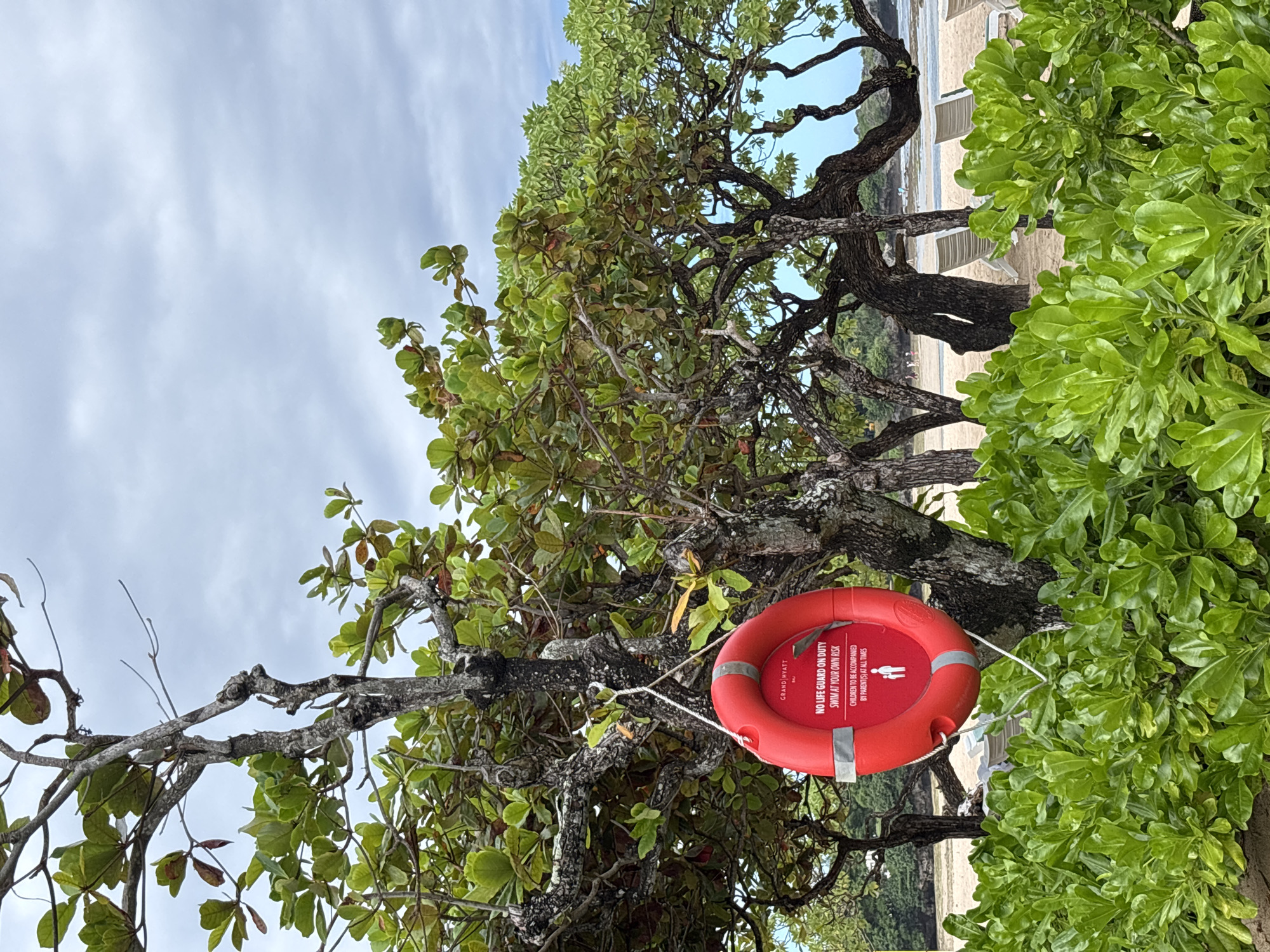 The image shows a red life preserver hanging from a tree branch near a beach in Kuta Selatan, Indonesia. The life preserver has the words "GRAND HYATT" and a warning printed on it: "NO LIFE GUARD ON DUTY. SWIM AT YOUR OWN RISK. CHILDREN TO BE ACCOMPANIED BY PARENT(S) AT ALL TIMES". The tree has light green leaves and is situated near the beach. The sky is cloudy. In the background, beach chairs and sand are visible.