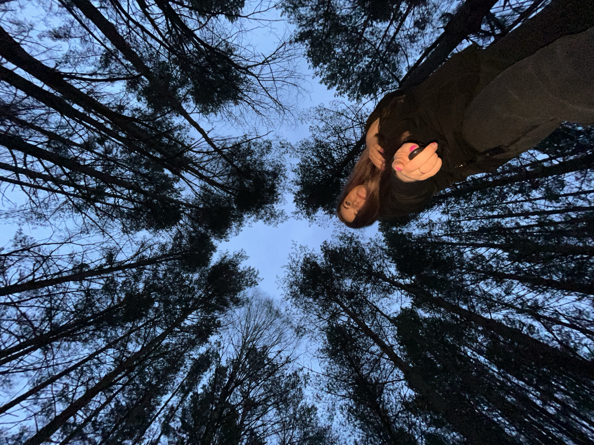 The image depicts a low-angle view upwards through a dense forest, presumably located in or near Chaikovsky, Russia. Tall, dark tree trunks and branches fill most of the frame, converging towards a small patch of pale blue sky at the top. A woman is in the foreground, positioned near the right side of the image. Her face is visible and she appears to be looking down at the camera. She is wearing a dark-colored jacket and is holding a small, dark object in her right hand. The overall lighting suggests it is either dusk or dawn. The environment seems natural, with only the trees and sky visible beyond the woman.