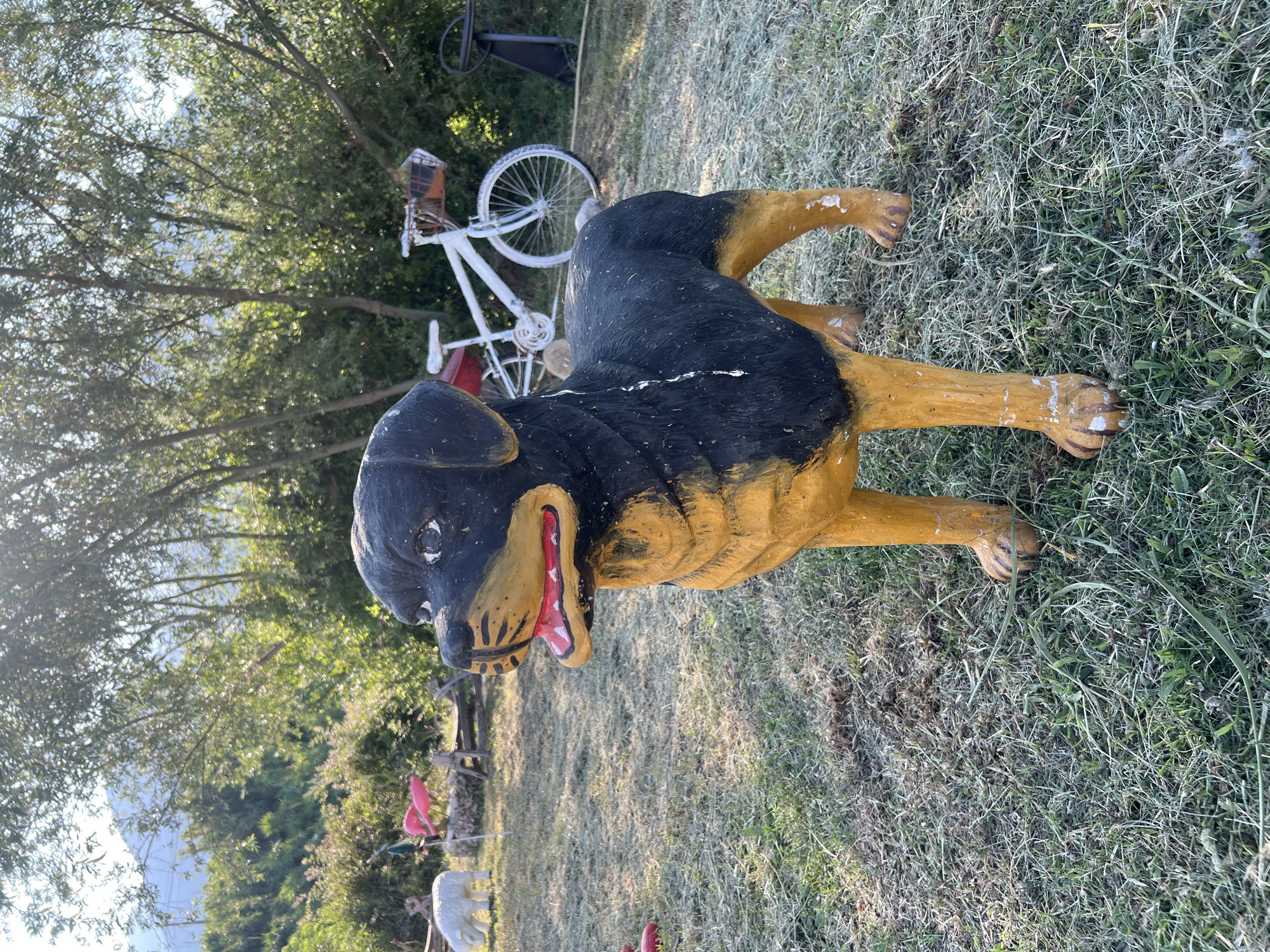 The image depicts a garden scene on a sunny day, with a statue of a Rottweiler dog prominently featured in the foreground. The dog statue is black and tan, with its mouth open in a playful or alert stance. The garden is covered in dry, light-colored grass, suggesting a warm climate or season.
In the background, several other objects and elements are visible. To the left, there's a small white statue that appears to be a sheep or lamb. Pink flamingo lawn ornaments are also present, adding a whimsical touch. A white bicycle with a basket filled with what looks like hay or straw is parked behind the dog statue. Further in the background, trees and foliage form a dense backdrop, with a hint of hills or mountains in the far distance. The overall impression is a decorative and somewhat kitschy outdoor space. The location specified, Burtaiši, Montenegro, suggests this is likely a private garden or yard. There are no people or animals present in the photograph, only inanimate objects.