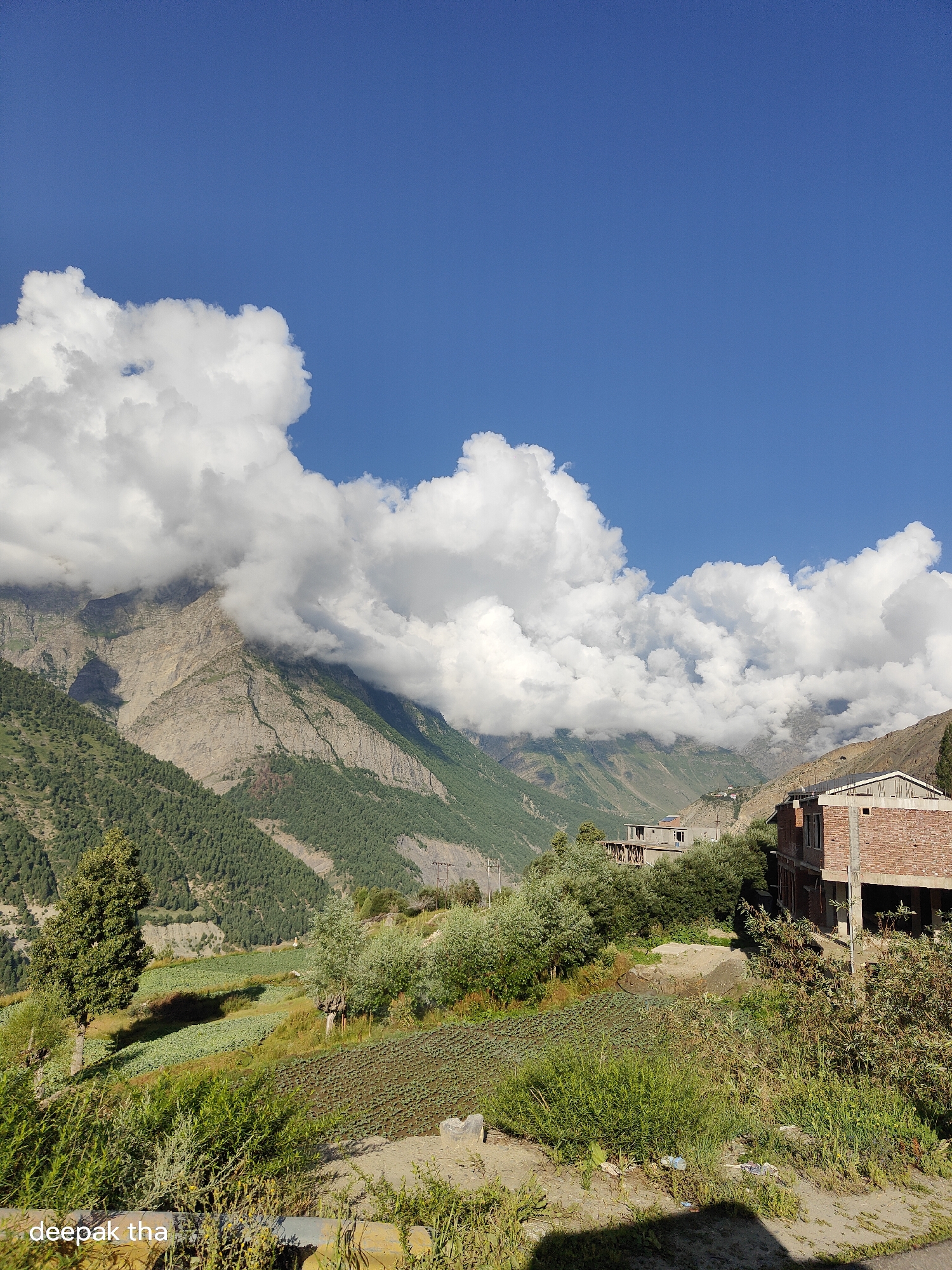 The image captures a bright, sunny day in a mountainous region with a clear blue sky dominating the upper portion. Large, fluffy white clouds are clustered around the peaks of a majestic mountain range that spans the mid-ground. The mountains are rugged and steep, with some areas covered in lush green trees and others appearing rocky and barren. In the foreground, a village or settlement is visible. On the right side of the image, there is a partially constructed brick building with visible wooden beams and concrete elements. To the left of this building, several smaller structures are partially obscured by trees. The landscape slopes downwards from the buildings, revealing terraced fields with crops that appear to be green vegetables. A few scattered trees are present throughout the scene, including a prominent, mature tree on the left side. The overall environment suggests a rural, mountainous area, likely in or near Gondhla, India, given the presence of agricultural fields and traditional building styles, under a vibrant, cloud-filled sky. A watermark at the bottom left reads "deepak tha".