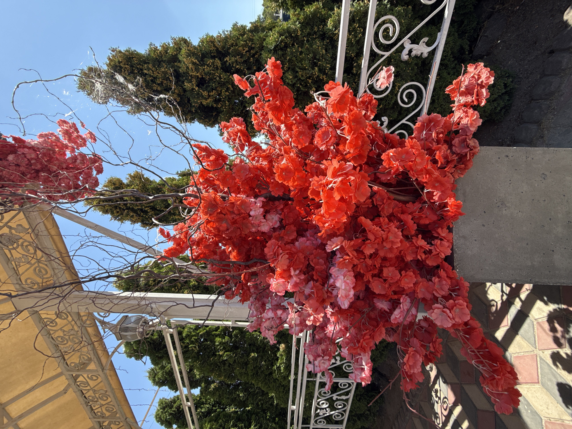 A bright, sunny day is depicted, with a clear blue sky overhead. In the foreground, a large, artificial floral arrangement, primarily in shades of red and pink, is prominently displayed in a concrete planter. The branches of the arrangement are bare and dark, contrasting with the vibrant artificial flowers. Behind the planter, a white decorative railing with ornate scrolls runs along what appears to be an elevated walkway or balcony. Beyond the railing, a row of tall, dark green evergreen trees forms a backdrop. To the left, part of a light-colored awning with decorative metalwork is visible, along with a vintage-style lantern hanging from it. The ground beneath the walkway is paved with square tiles in shades of pink and beige, with geometric shadows cast by an unseen structure. The scene is set outdoors, likely in a public space or garden, potentially in Bălți, Moldova, given the architectural style and vegetation. No people are visible in the image.