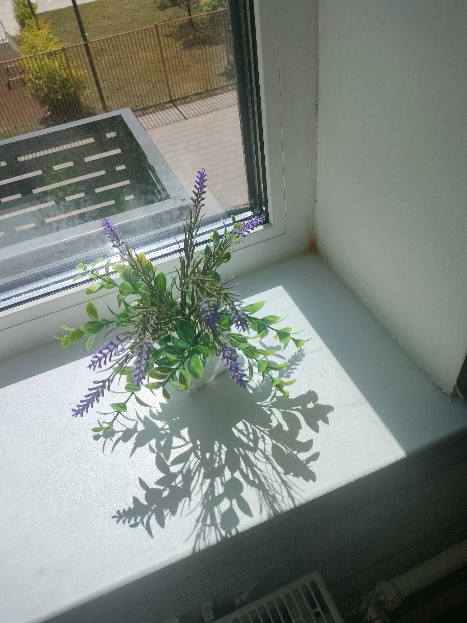 The image depicts a faux lavender plant in a white pot placed on a white windowsill. The plant has green leaves and purple lavender sprigs. Sunlight casts a shadow of the plant onto the windowsill, creating an intricate pattern. Through the window, a metal grate, a fence, and some trees are visible, suggesting an outdoor environment. The windowsill itself shows some discoloration near the corner, indicating potential wear or moisture. In the lower portion of the image, a section of a white radiator and a pipe are visible, suggesting the location is indoors, likely in a residential or commercial building. The lighting suggests it is daytime, with strong sunlight coming from the right side of the frame. There are no people or animals present in the image. The overall scene is static and quiet, with a focus on the decorative plant and the interplay of light and shadow. Without additional context or external information, it is impossible to determine the specific location within the city of Lyubertsy, Russia.