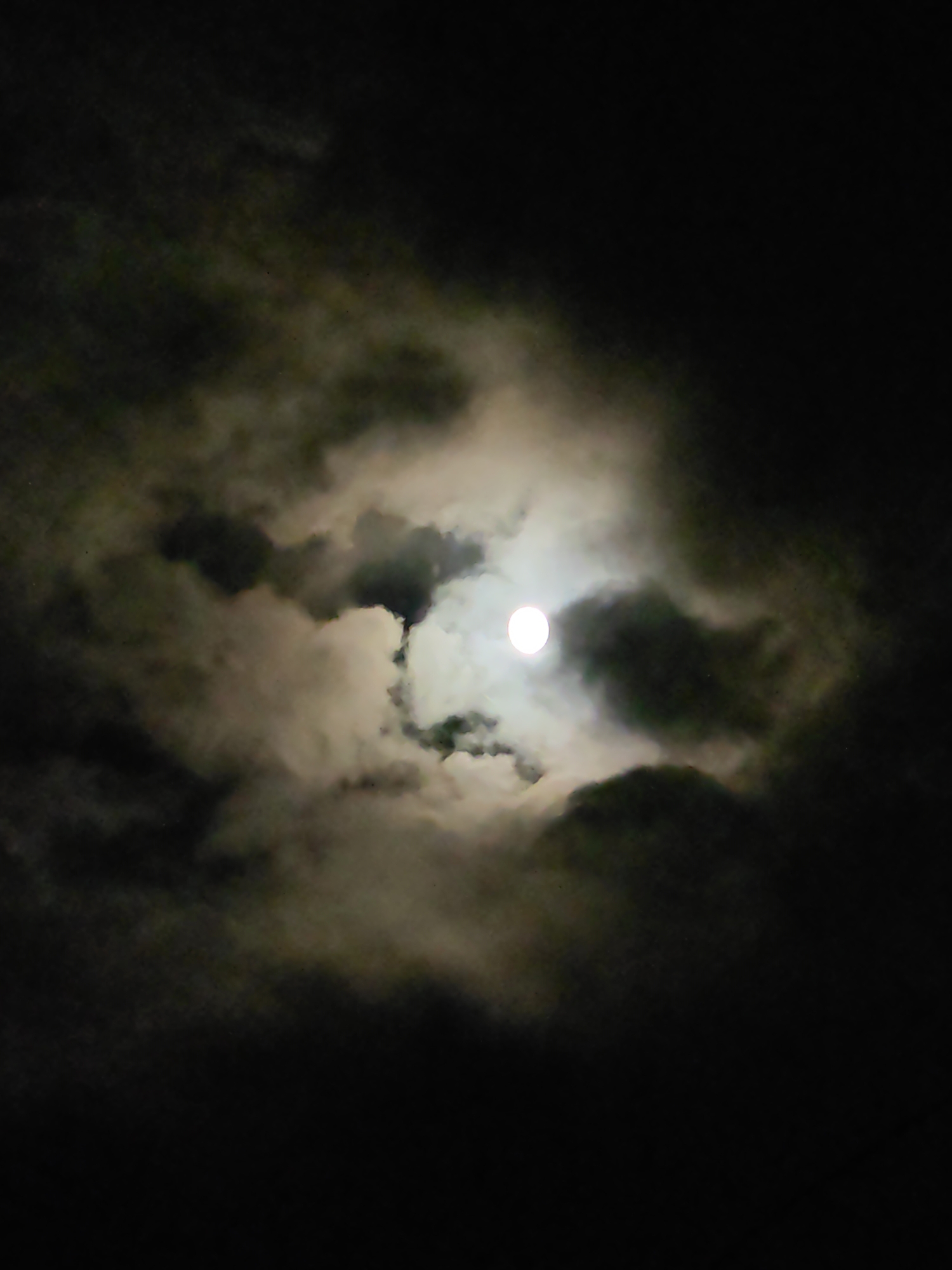 A full moon glows brightly in the night sky, partially obscured by wispy, dark clouds. The clouds are illuminated by the moonlight, creating a dramatic effect with patches of light and shadow. The overall scene is dark and atmospheric, typical of a cloudy night with a visible moon. The location in Palchan, India, is not discernible from the image itself.