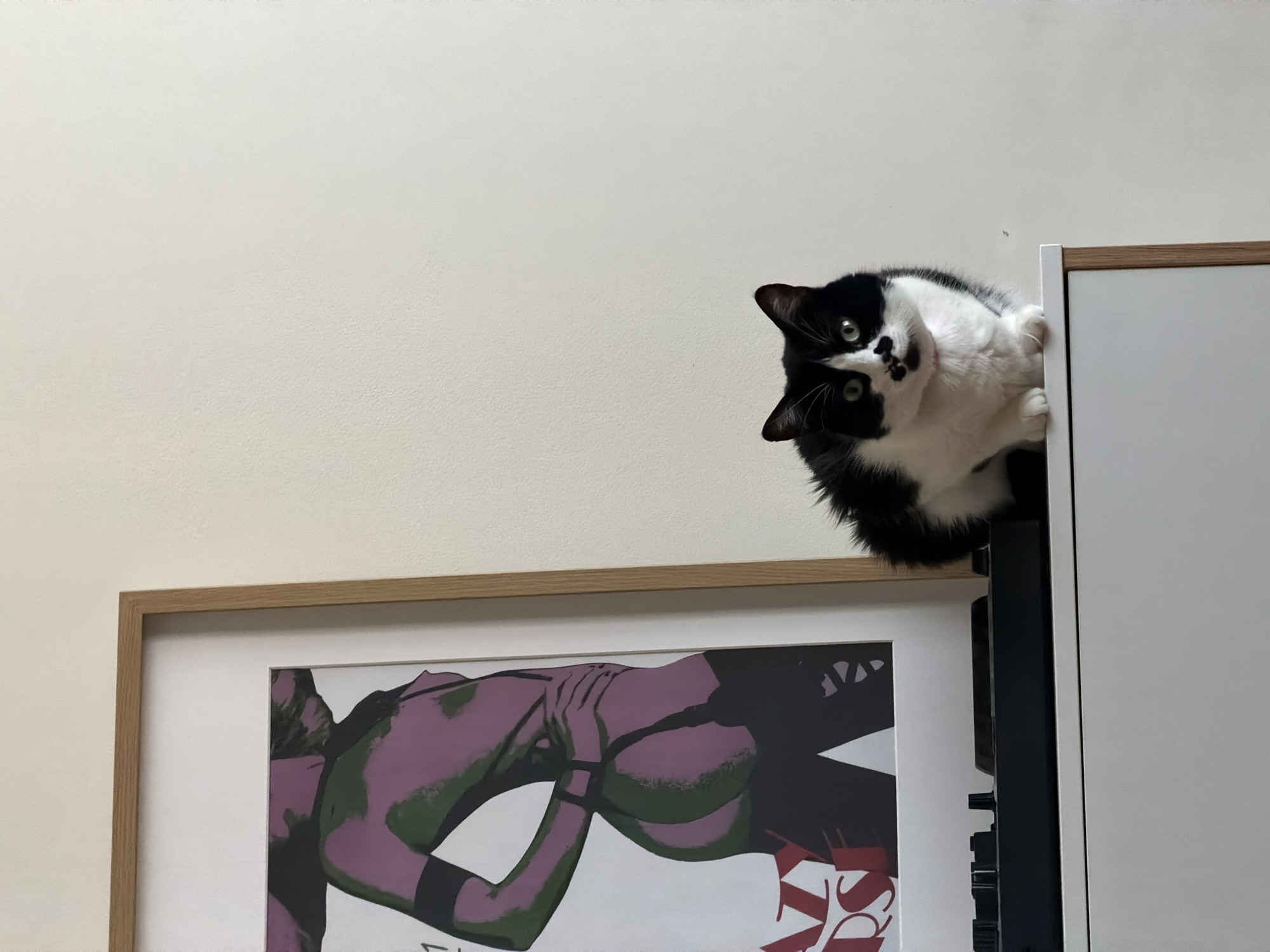 A black and white cat is perched atop a tall, white cabinet or shelf unit. The cat is looking down with its head tilted to the left. A framed poster with a nude figure rendered in green, purple, and black is positioned beneath the cat. The background is a plain, off-white wall. The location is not discernible from the provided image. There are no people visible.