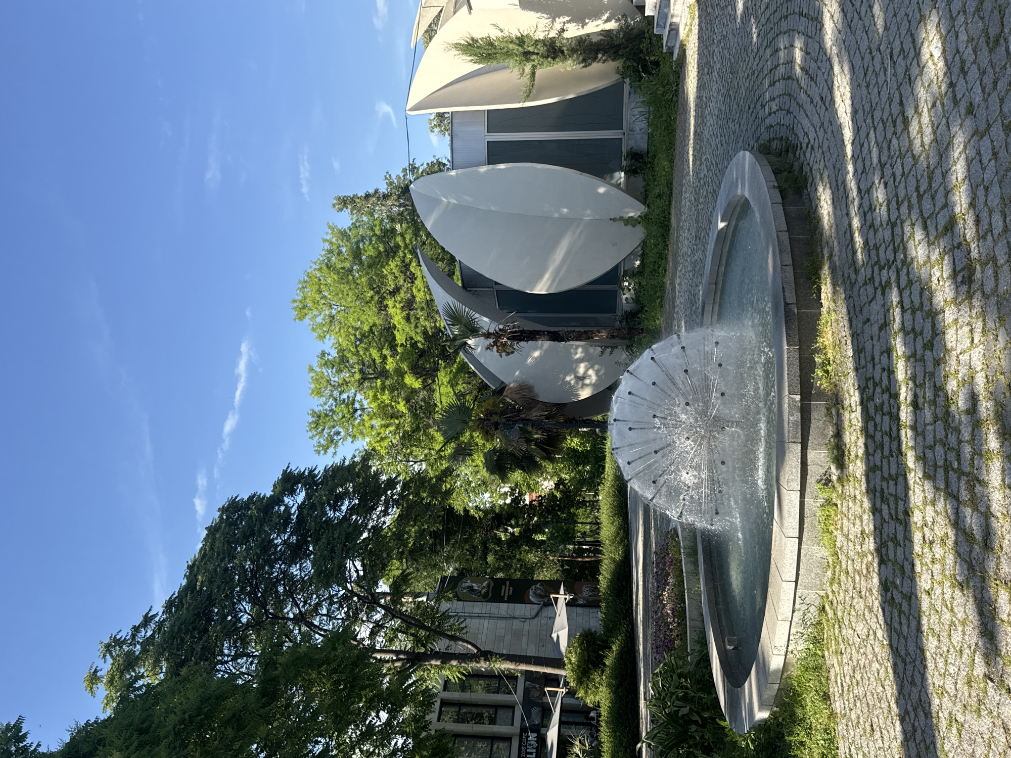 The image shows a park scene in Plovdiv, Bulgaria, featuring a distinctive fountain with a spherical spray pattern and a building with large, stylized leaf-like structures attached to its exterior. The fountain is situated on a stone-paved surface with shadows cast upon it. A variety of trees and greenery surround the fountain and building, with a clear blue sky overhead. Banners and signage are visible in the background, suggesting the location is possibly near the Plovdiv Zoo. The building appears to be a modern architectural structure with white, curved elements contrasting against its glass windows.