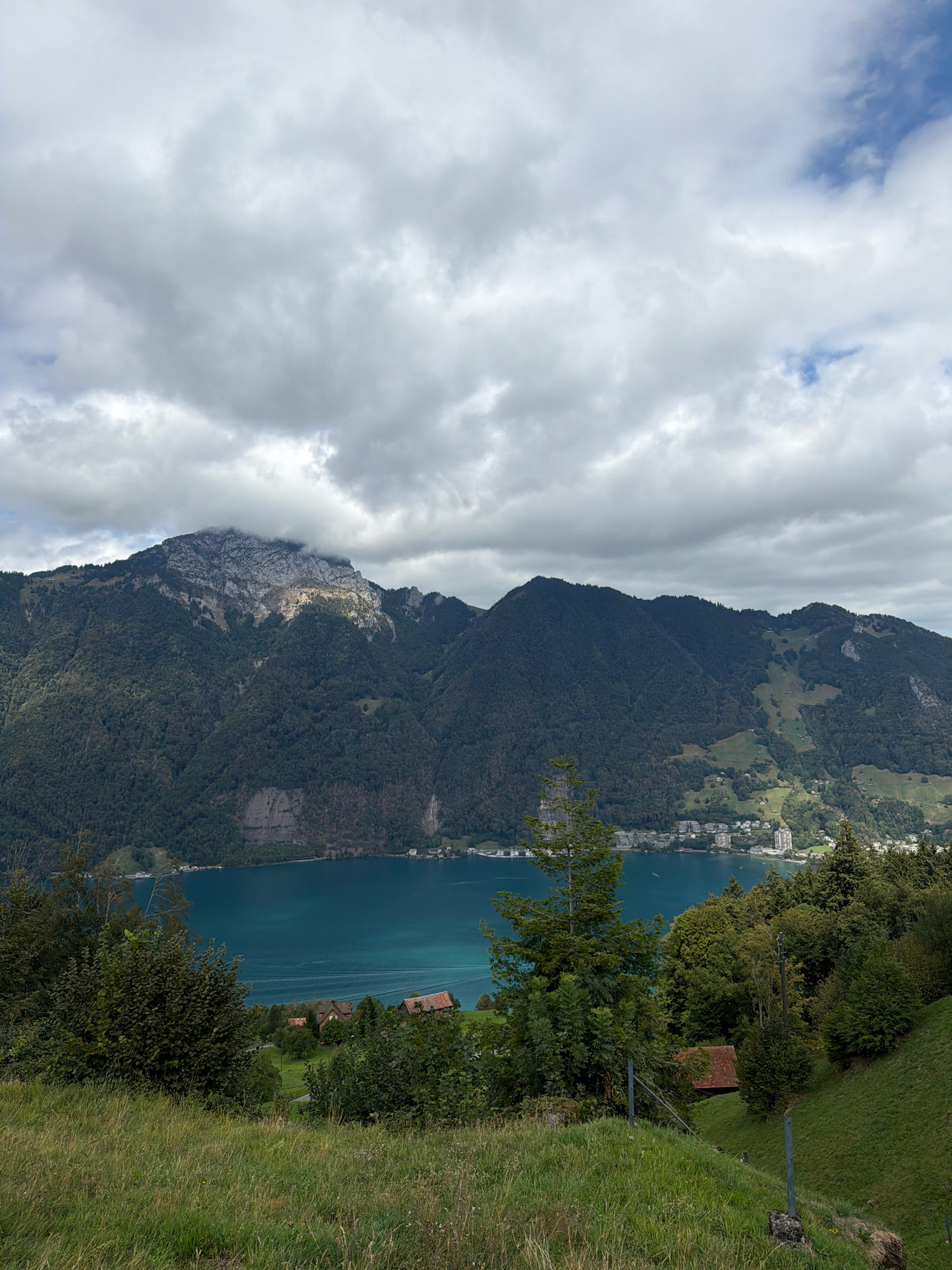 A photograph captured from a slightly elevated grassy viewpoint looking towards a large body of water and mountains. The sky is heavily overcast with dramatic grey clouds, interspersed with patches of blue. A majestic mountain range dominates the background, with the peak on the left partially shrouded in clouds. The mountains are covered in dark green trees, with lighter green patches indicating open areas or pastures. Along the shoreline of the turquoise water, a town or village is visible, featuring several buildings. In the foreground, the grassy slope is lush and green, with a few scattered trees and some wooden structures, possibly houses with red roofs, nestled within them. The water is a vibrant teal color, reflecting the overcast sky.
