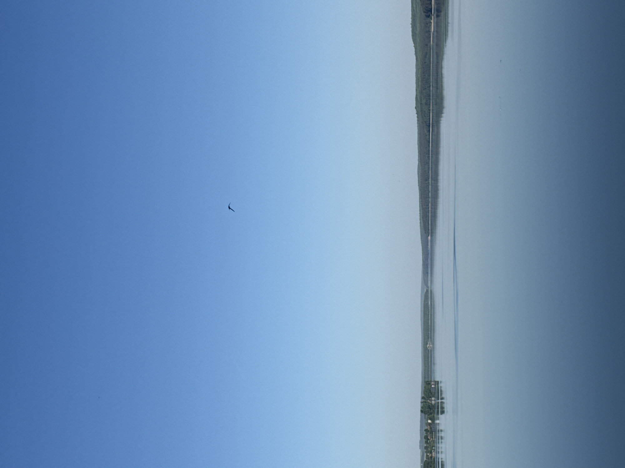 A bird is flying over a body of water, probably the Votkinsk Reservoir in Russia. The land is lined with trees. The sky is blue.