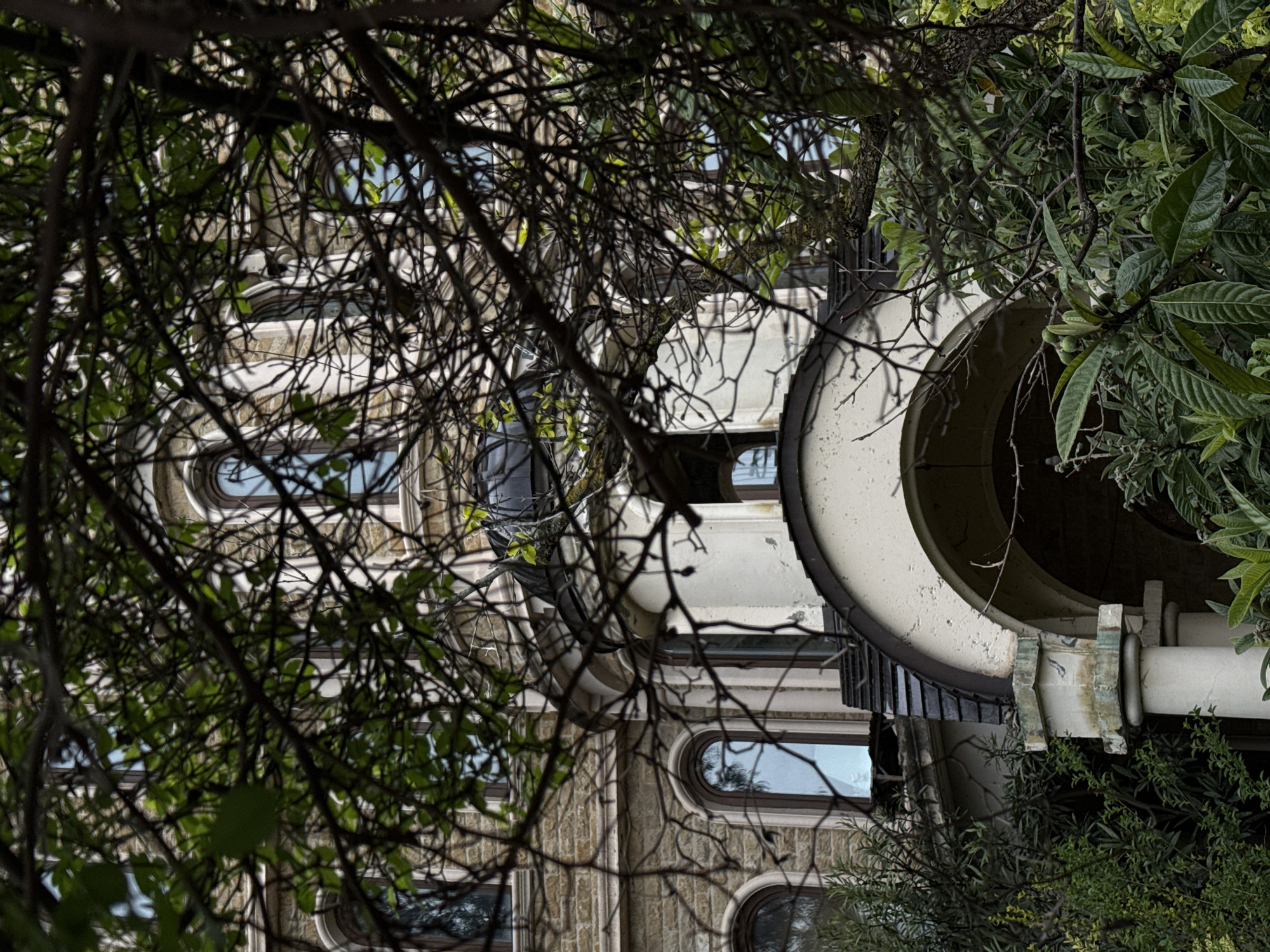 The image depicts a portion of a building with stone cladding and rounded windows, partially obscured by foliage. The architectural style suggests a historical or classical influence. A section of a semi-circular element, likely a balcony or decorative structure, is also visible. The location in the city of Sochi, Russia, is not explicitly confirmed by the image, but based on the architectural style, and plant life, it is possible.