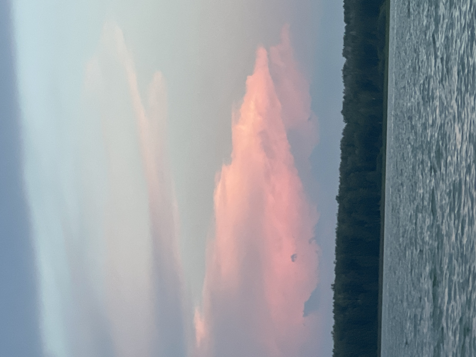 The image shows a body of water, likely a lake, with ripples on the surface. Beyond the water is a dense line of dark green trees, forming a forest that stretches across the horizon. Above the forest, the sky is a gradient of soft colors, with pale blue at the top transitioning to shades of pink and light purple, indicating either dawn or dusk. There are large, wispy clouds that catch the light, giving them a rosy hue. The overall impression is a serene natural landscape. The location is identified as Novopichugovo, Russia. There are no people or specific man-made objects visible in the image.
