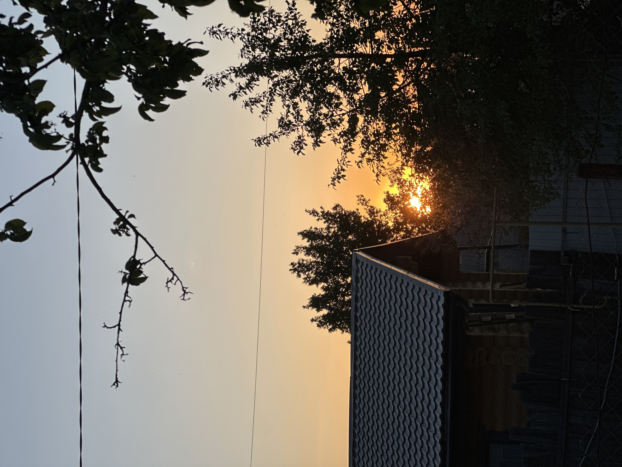 The image shows a sunset scene, partially obscured by tree branches and a building, likely taken in Chaikovsky, Russia. The sky transitions from a light blue on the left to an orange-yellow near the sun, which is partially hidden behind trees, creating a bright glow. The silhouettes of tree branches are visible in the upper left and center of the frame. A building with a textured, dark gray roof and darker shadowed side occupies the right portion of the image. The building appears to be old, with visible structures and elements in the shadows. A fence is partly visible, blending with the shadows.