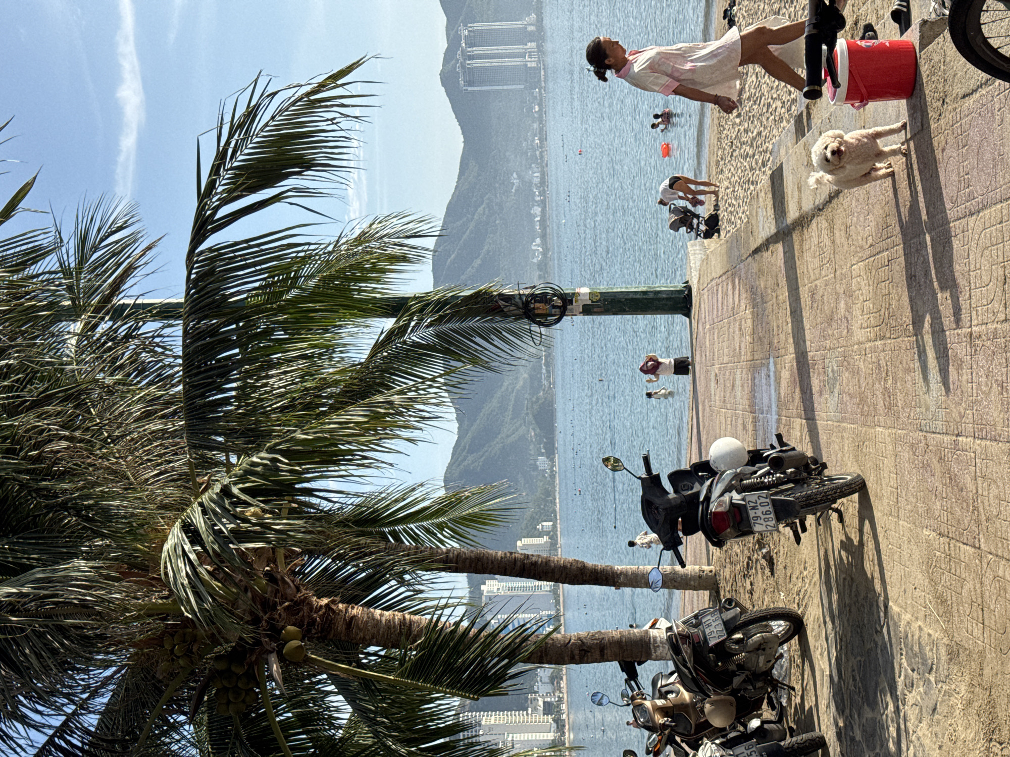 In Nha Trang, Vietnam, a woman with dark hair walks along a paved walkway beside a sandy beach. She wears a light-colored dress with pink accents. A small, white, fluffy dog stands near her on the walkway, looking towards the camera. A red cooler is positioned on the edge of the walkway to her right. In the background, the ocean is visible with several people in the water. Palm trees line the walkway, casting shadows on the ground. Motorcycles are parked on the sand to the left of the walkway. In the distance, a city skyline with tall buildings and lush green mountains can be seen. The sky is clear and blue with a few wispy clouds.