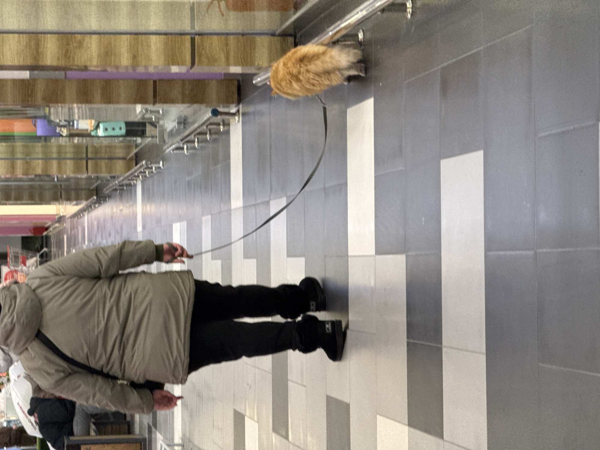 A person wearing a gray parka and black pants is walking a tan, fluffy animal, possibly a dog or cat, on a leash indoors. The location features a gray tile floor in a patterned arrangement of light and dark squares. Overhead are structures of shelves, racks, and metal pipes. The person appears to be in a shopping area or transportation terminal. The city is presumed to be Moscow, Russia.