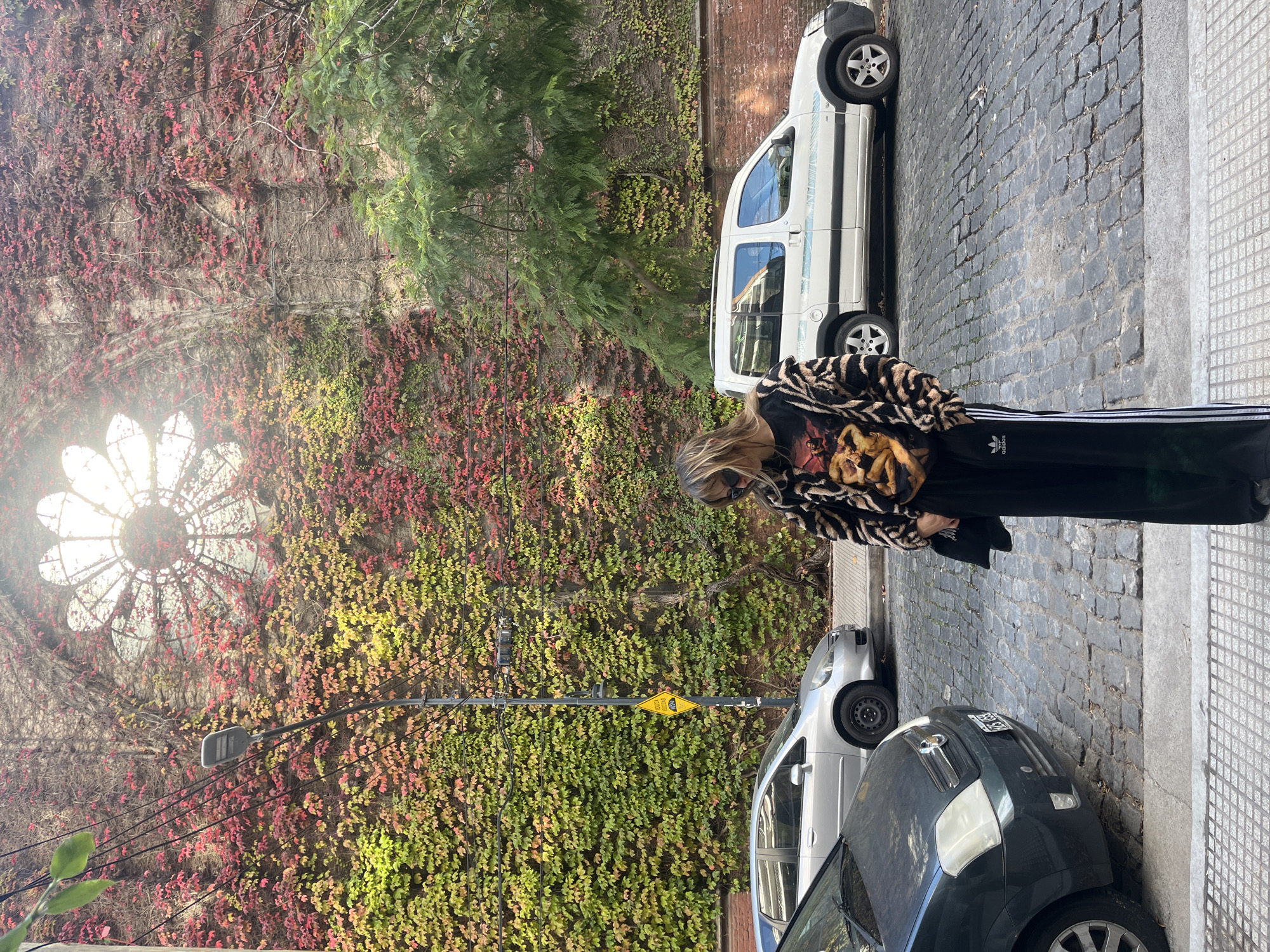 A woman stands on a cobblestone street between two parked cars in Olivos, Argentina. To her left is a brick building covered in ivy, with red and green leaves. A decorative circular window with a flower-like design is visible on the building. A street lamp is positioned in front of the ivy-covered wall. The woman is wearing black pants with white stripes and a patterned jacket. A white van is parked next to the woman on the opposite side of the street.