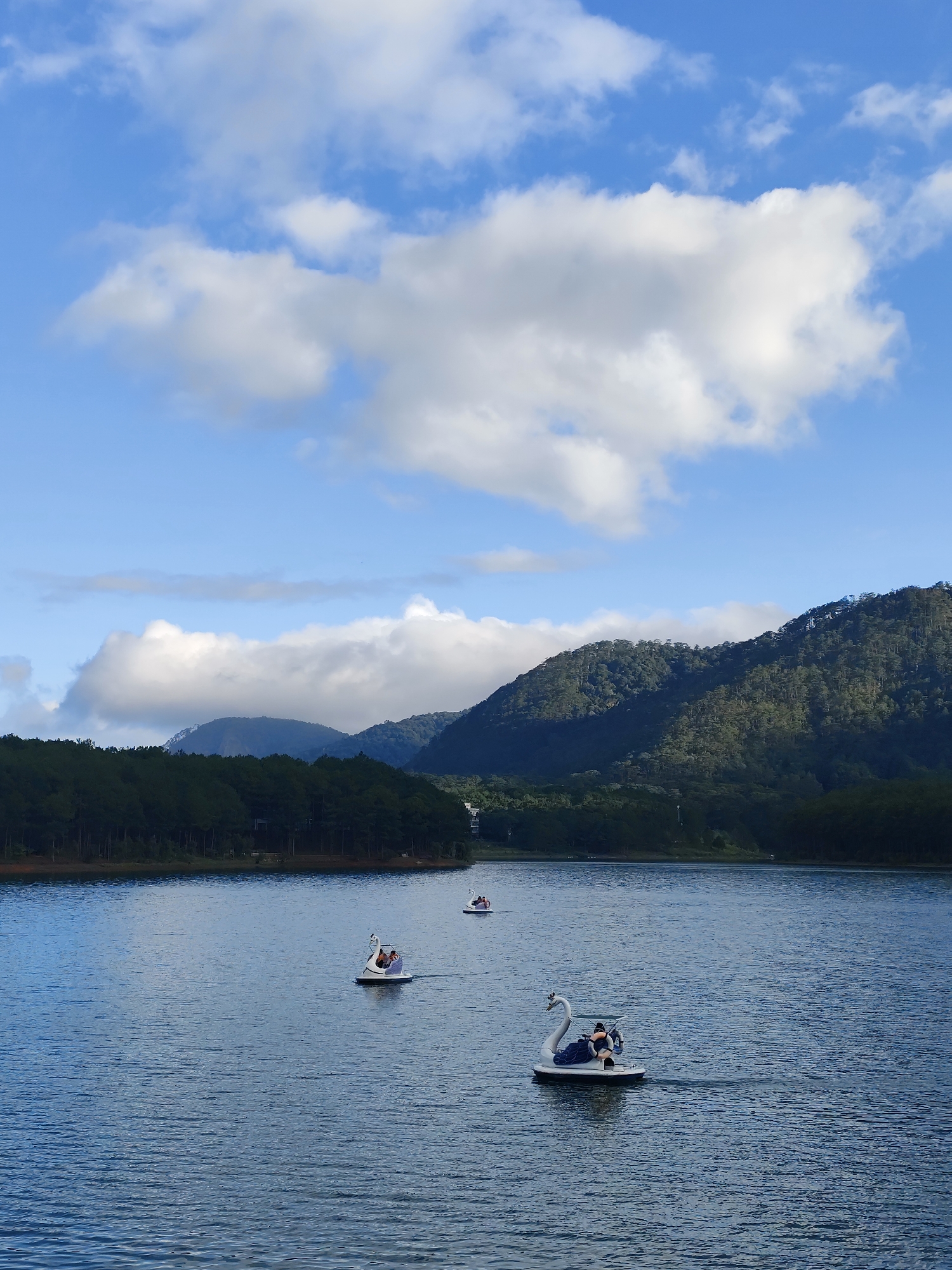 The image shows a tranquil lake scene in Da Lat, Vietnam, featuring three swan-shaped paddle boats on the water. Each boat appears to carry passengers. The lake is surrounded by a dense forest of evergreen trees and mountains in the background, partially shrouded in a light haze or clouds. The sky is blue with scattered white clouds. The water is a dark blue with ripples.