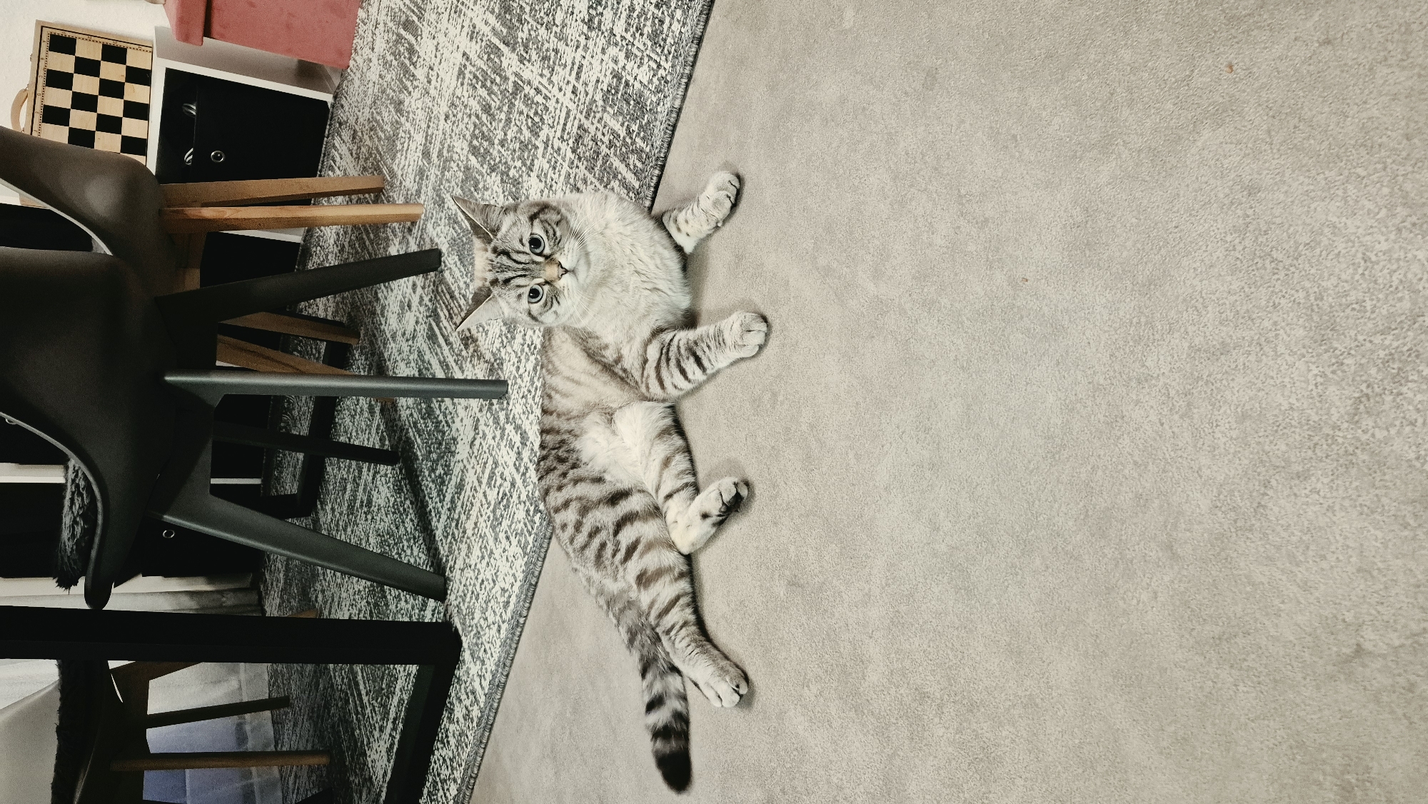 A tabby cat is lying on a light gray carpet. The cat is light gray with darker gray tabby markings. It is lying on its side with its front paws extended forward and its hind legs tucked underneath. The cat is looking directly at the camera with its green eyes. Behind the cat, a patterned rug is visible, and further in the background, the legs of chairs and a table are present. The scene appears to be indoors, possibly a living room or dining area. There is no indication of the location being in Baden-Baden, Germany.