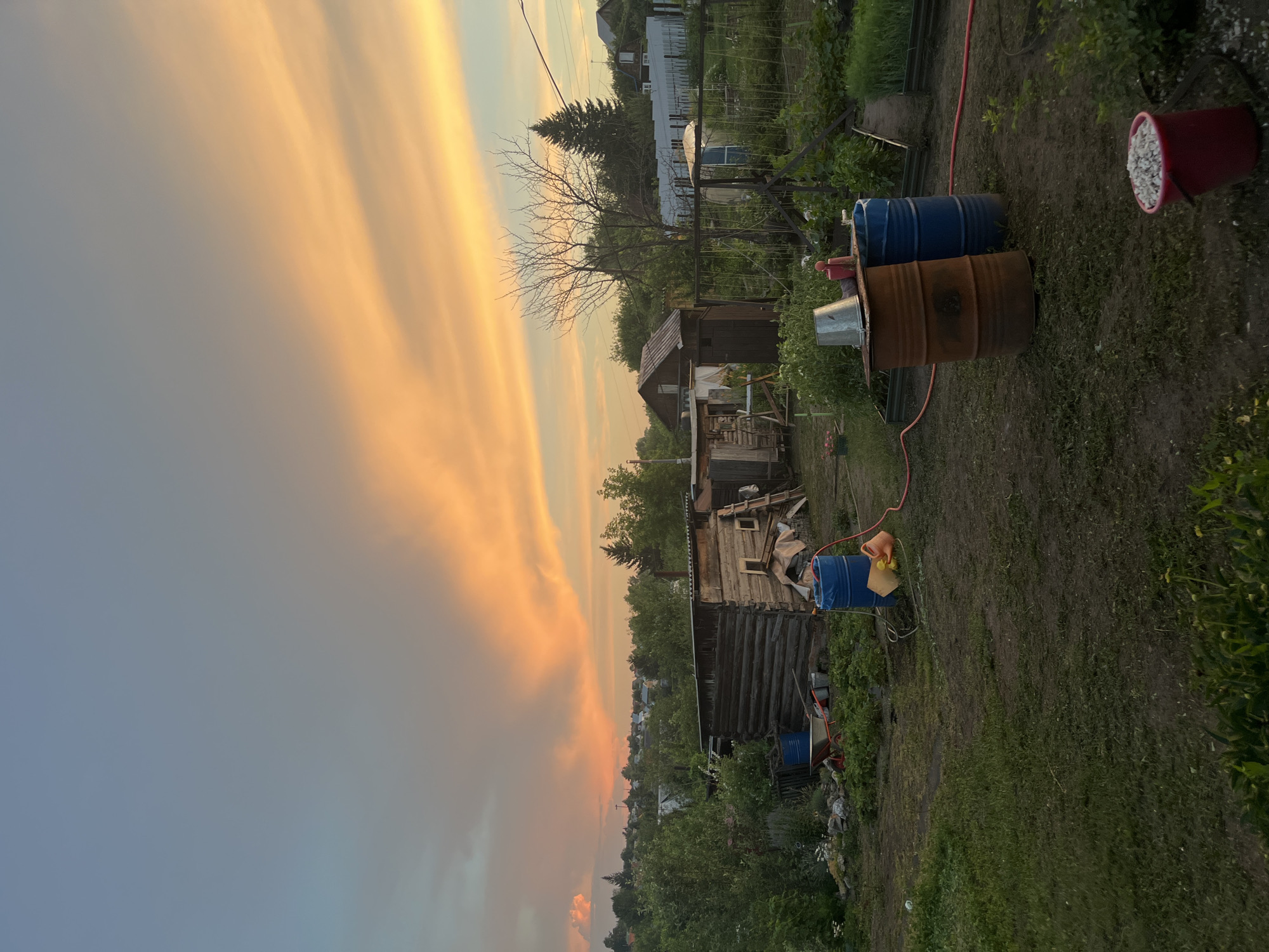 This is a vertical, wide-angle photograph of an outdoor scene at what appears to be a rural homestead or dacha. The sky dominates the left side of the image, filled with dramatic, streaky clouds in shades of orange, yellow, and pale blue, suggesting either sunrise or sunset. The right side of the image depicts a yard with several structures and objects.
In the foreground, there are two large barrels, one rusty brown and the other blue, positioned on uneven ground. A metal bucket sits on top of the brown barrel. To the right, a red bucket filled with white gravel rests on the ground. A red hose is visible snaking across the yard. Behind the barrels, a rustic, wooden outbuilding with a sloping roof is visible, with other dilapidated structures and piles of materials nearby. Further in the background, there is dense greenery, trees, and the roofs of other houses and structures, indicating a populated area, possibly a village or settlement. A thin tree with bare branches stands prominently in the middle ground.
The scene appears to be peaceful and somewhat unkempt, with a focus on functional, outdoor storage and a rustic aesthetic. The lighting suggests it is either early morning or late evening due to the colorful sky. The location context indicates Koniukhi, Russia. There is no visible text in the image.