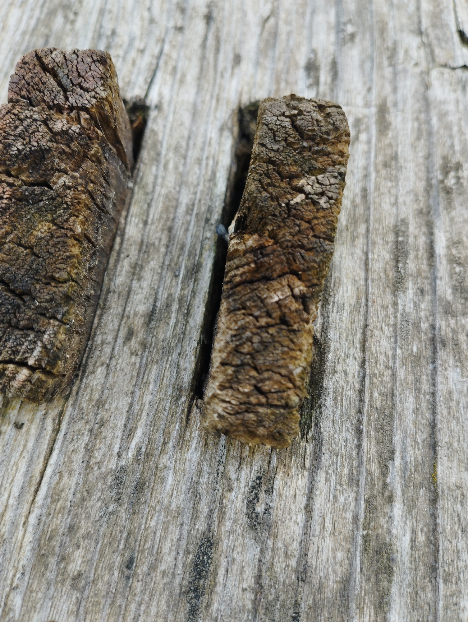 The image is a close-up, high-angle shot of two weathered, brown wooden pieces resting on a textured, grey wooden surface. The wooden pieces appear to be rough and splintered, showing signs of age and exposure to the elements. The grey surface has a pronounced wood grain pattern with visible vertical lines and some darker specks scattered across it. A thin, dark gap runs vertically between the two brown wooden pieces. The lighting suggests it is daytime, but the specific time of day is not discernible. The overall impression is one of natural decay and texture. The location context provided is Ширяево (ильинский), Russia. There is no visible text in the image.