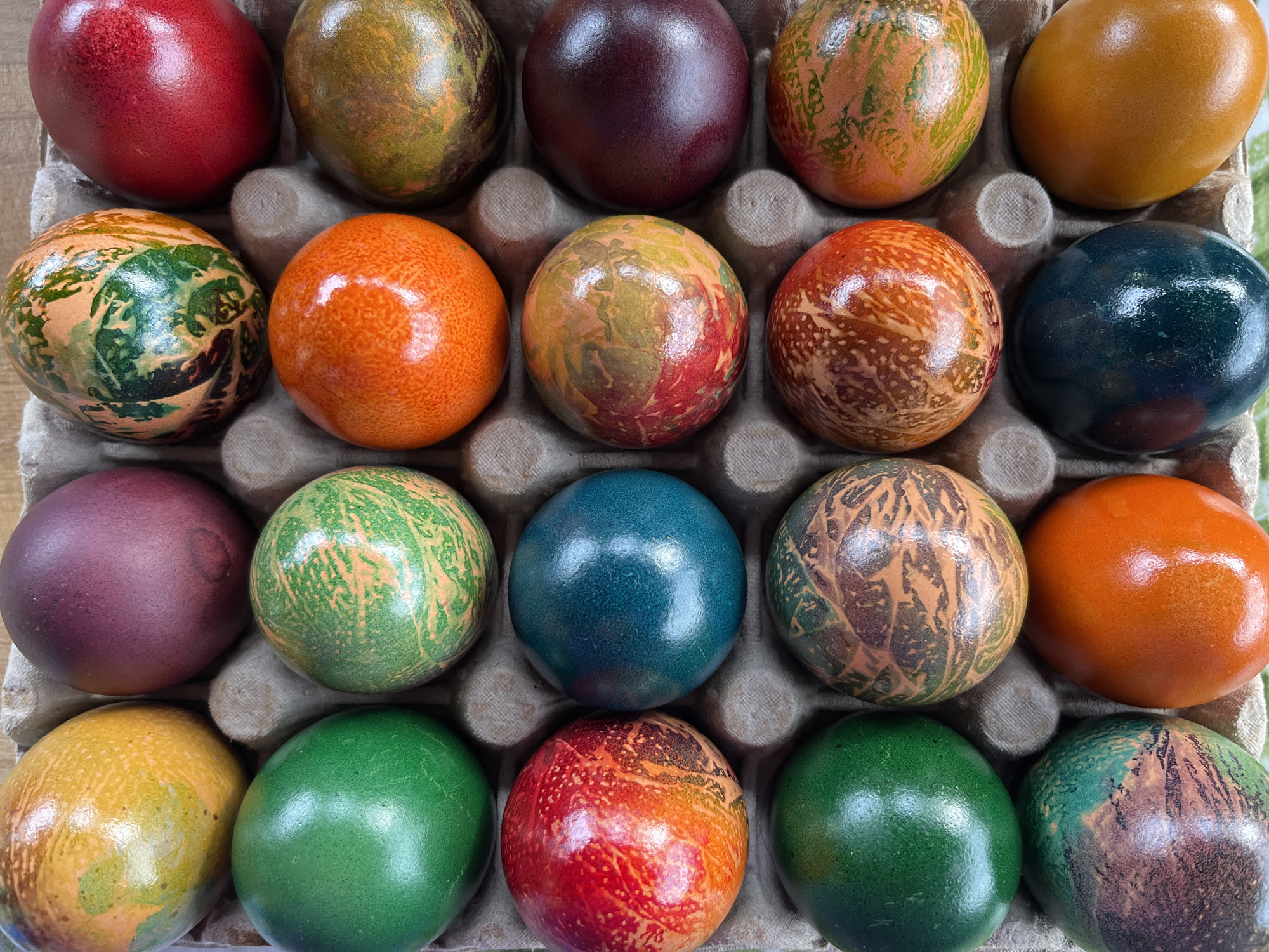 A close-up photograph shows a carton of twenty-four dyed Easter eggs. The eggs vary in color, including shades of red, orange, green, brown, blue, and purple, with some exhibiting mottled or patterned surfaces. They are arranged neatly in the cardboard egg carton, which appears to be made of molded pulp. The image does not contain people, actions, interactions or any information regarding Pchelnik, Bulgaria.