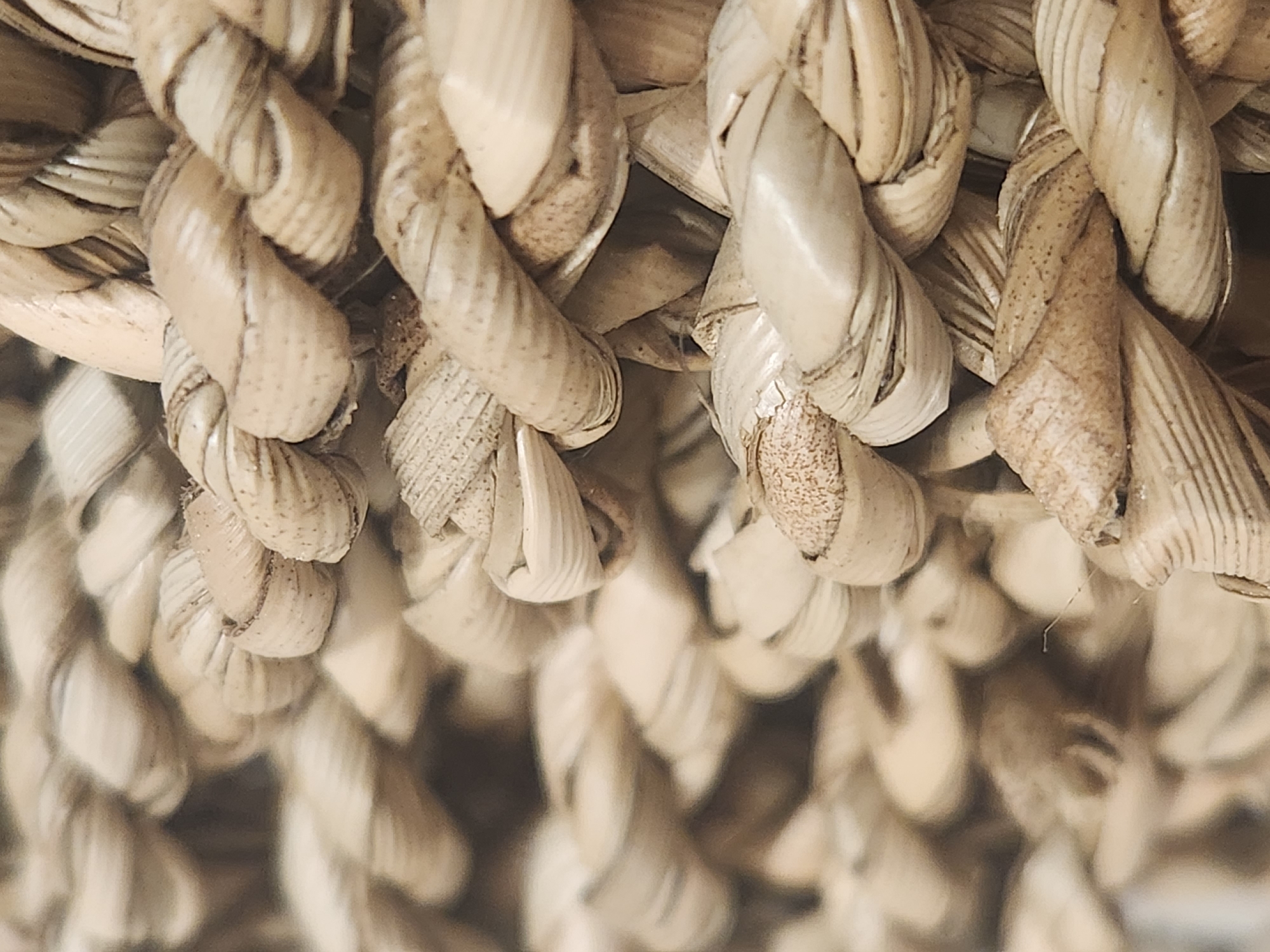 The image is a close-up, macro photograph of a thick, twisted rope made of natural, light brown fibers, possibly straw or dried reeds. The rope is woven in a complex, multi-strand pattern, creating a textured surface with visible strands and undulations. Some areas of the rope show a rougher texture and darker speckles, suggesting the natural imperfections of the material. The lighting is soft and diffused, casting subtle shadows that highlight the three-dimensional form of the rope. The background is blurred, with tones of brown and beige that are consistent with the rope's color palette, creating a sense of depth and focus on the intricate weaving. The scene does not depict any specific location in Maitland, United States of America, nor does it contain any people, actions, or interactions. It is a purely textural and abstract study of the rope.