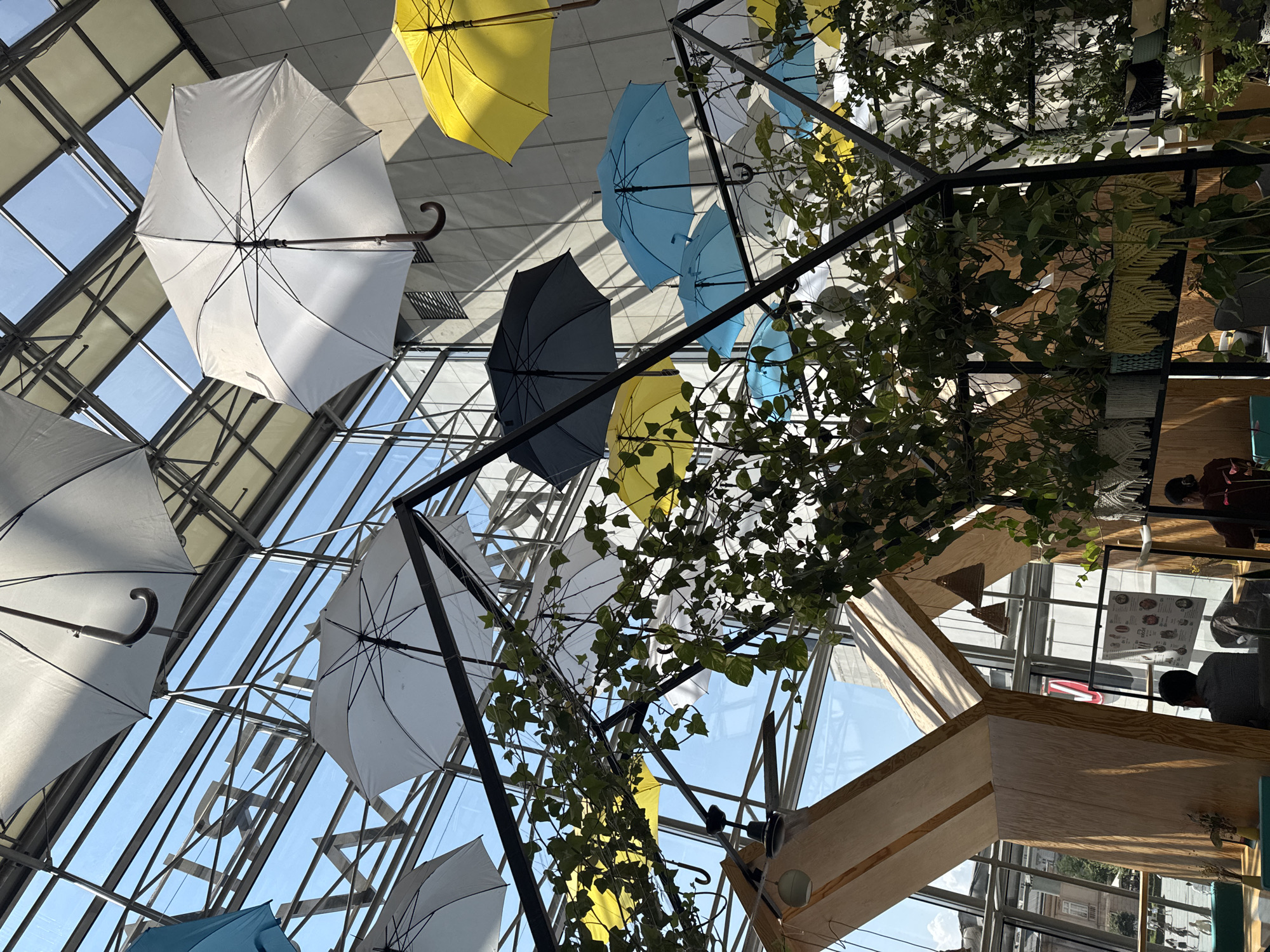 An indoor scene depicts a café with a high ceiling featuring a glass roof and metal framework. Multiple colorful umbrellas are suspended from the ceiling, creating a decorative canopy. Green plants are strategically placed on shelves and hang from a metal structure, adding a touch of nature to the interior. In the foreground, several tables and chairs are visible, with some patrons seated at them. Through the glass roof, a bright blue sky with scattered clouds can be seen, along with the tops of buildings. The overall impression is a bright and airy space, likely designed to evoke an outdoor atmosphere. This scene is located in Krakow, Poland.