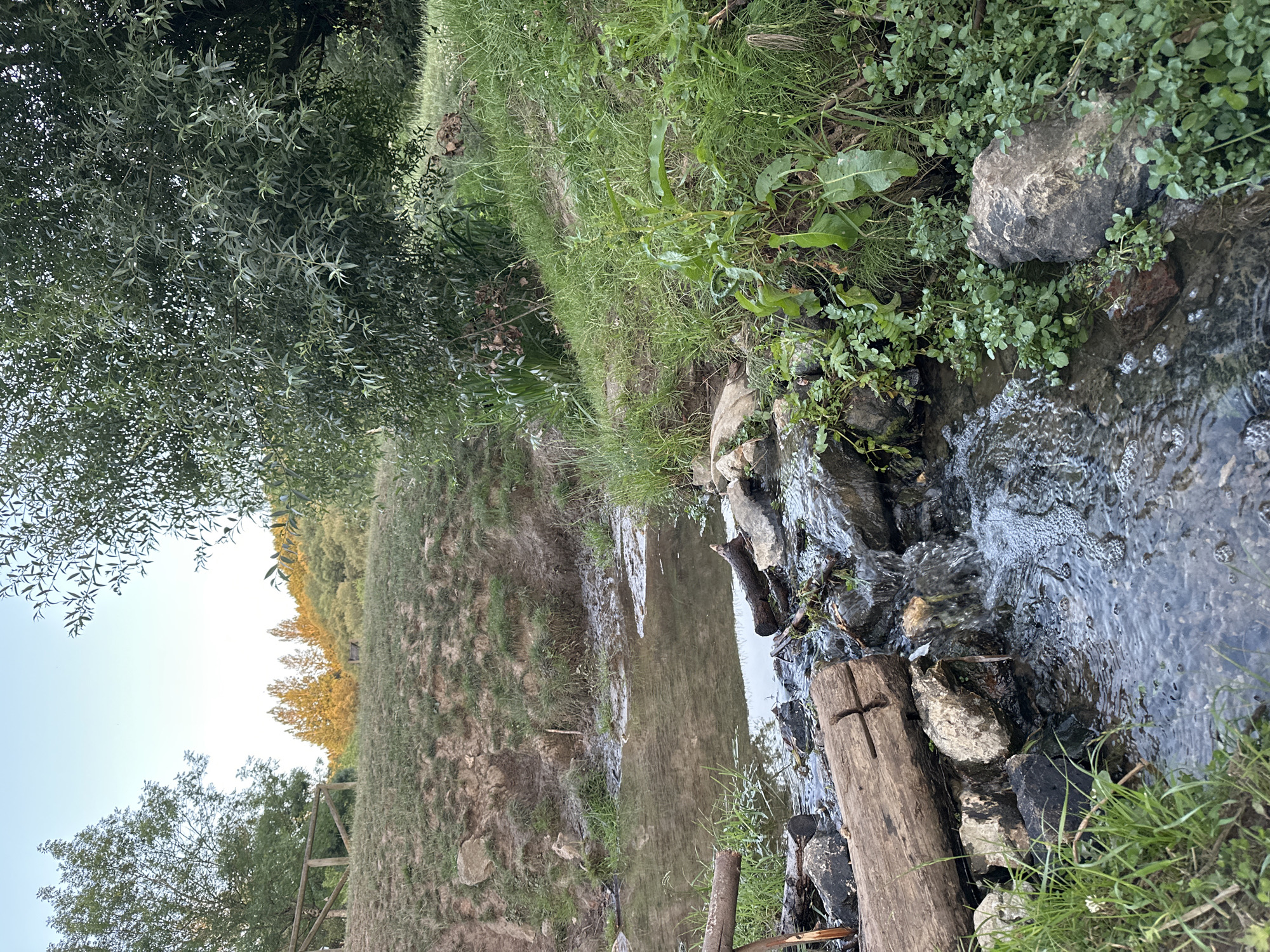 A shallow, natural stream flows through a grassy, wooded area with a dirt embankment on the left and a lush green hillside on the right. In the foreground, the stream is partially dammed by a large, weathered log and several rocks, causing small cascades and ripples. Grass and small green plants grow along the stream banks. A wooden fence is visible on the embankment. The background features trees and hills, with a clear sky overhead. The scene appears to be a natural landscape, possibly a park or rural area within Oviedo, Spain. There are no people or animals present.