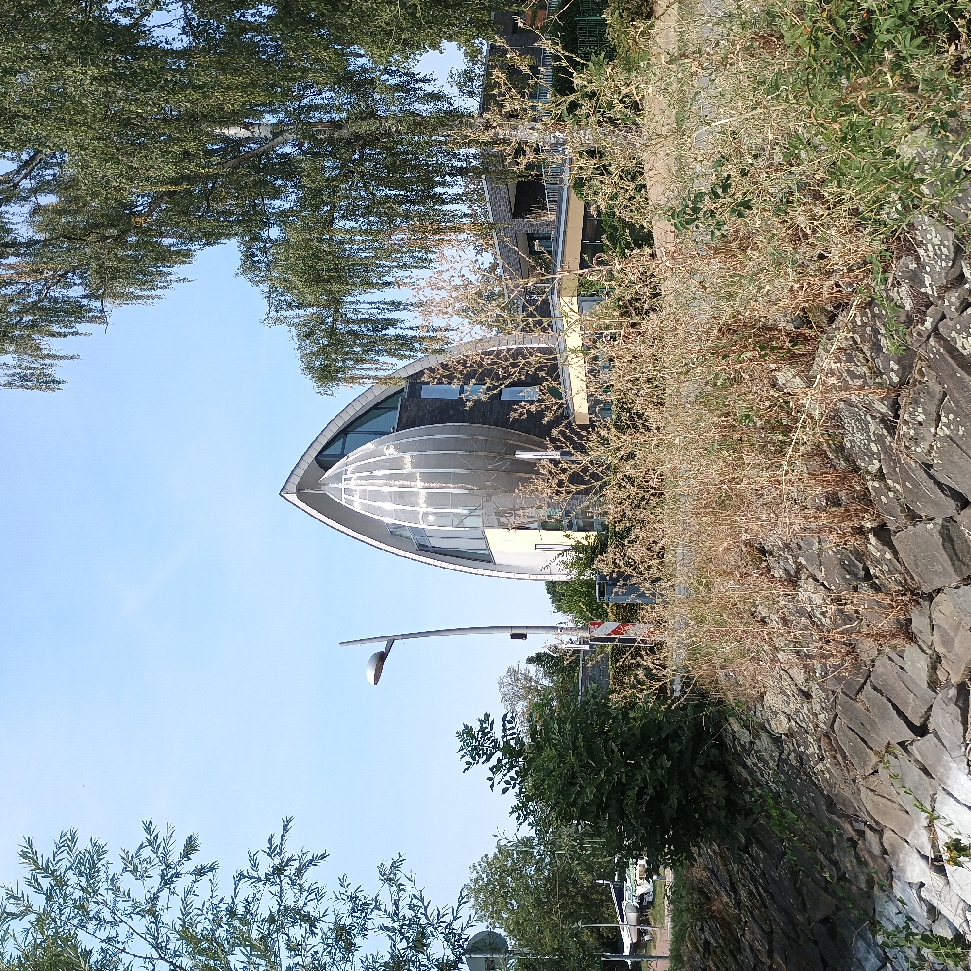 The image shows the "Evangelische Kirchengemeinde Möhnesee" church, located in Möhnesee, Germany. The church features a distinctive, modern architectural design with a curved, pointed roof resembling a leaf or a shell. The exterior is a combination of glass, metal panels, and dark brick. In the foreground, a rocky embankment is covered with dry, tall weeds and some green vegetation. To the left of the church, a tall, modern lamppost stands. Behind the church, a lower, modern building with windows and a railing is visible, partially obscured by trees. Several other trees, including a large birch tree with hanging branches, frame the scene. The sky is clear and blue. A few boats are visible on trailers in the background to the left, suggesting proximity to water. The overall impression is a contemporary religious building set in a natural, slightly overgrown environment.