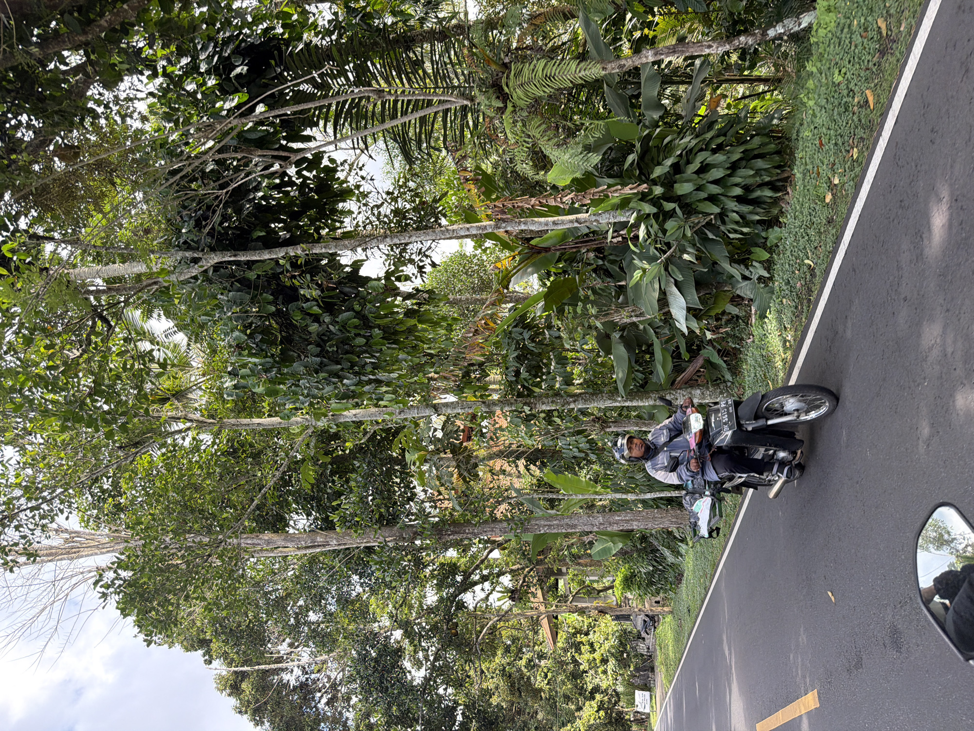 In Susut, Indonesia, a person rides a black motorcycle on a paved road bordered by lush greenery. The rider wears a helmet and a jacket, and the motorcycle has a license plate visible. The surrounding environment is characterized by tall trees, dense foliage, and a cloudy sky. The road has a yellow line marking on the left side and a white line on the right side. A reflection of the sky and trees is visible in the motorcycle's side mirror. The scene depicts a typical day on a rural road in Indonesia.