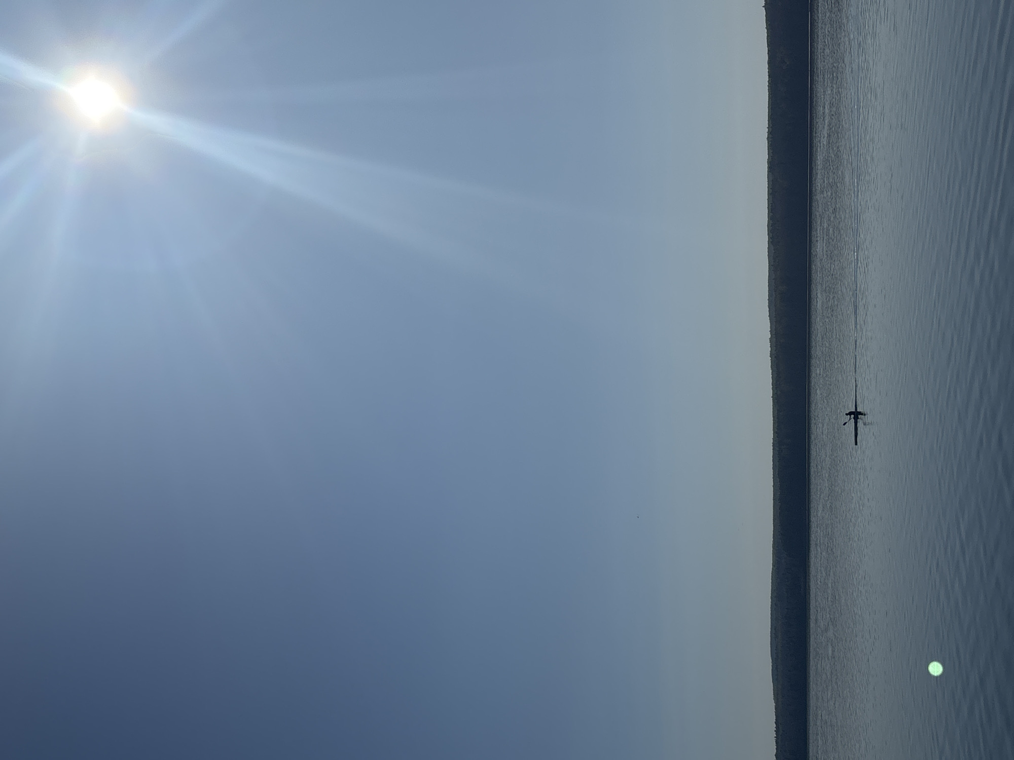 The image shows a body of water adjacent to a wooded shoreline under a clear sky with bright sun glare. A person is paddleboarding on the water. The location is likely in the vicinity of the city of Chaikovsky, Russia, given the prompt's information.