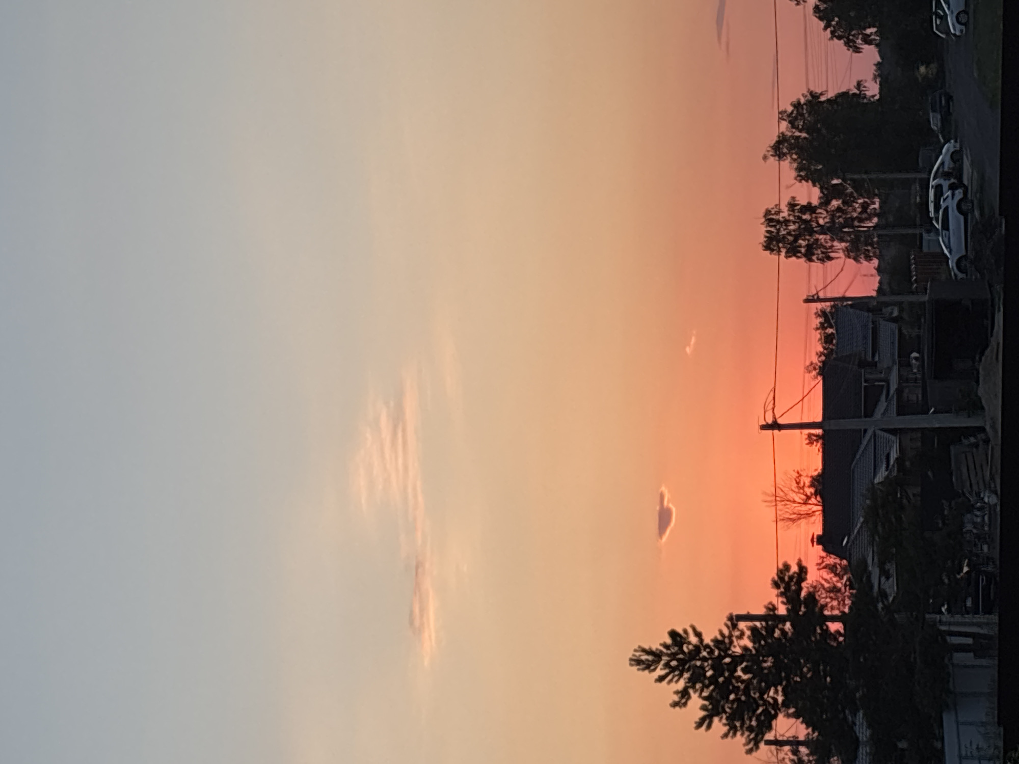 The image depicts a residential area at sunset in Alexandrovka, Russia. The sky transitions from a pale blue at the top to a vibrant orange and pink near the horizon, with a few wispy clouds. Silhouetted against the colorful sky are evergreen trees, deciduous trees, and residential buildings with dark roofs. Power lines crisscross the scene, supported by utility poles. Several cars are parked on a paved surface in the foreground, indicating a suburban or semi-rural setting. The overall impression is one of a peaceful evening in a Russian town.