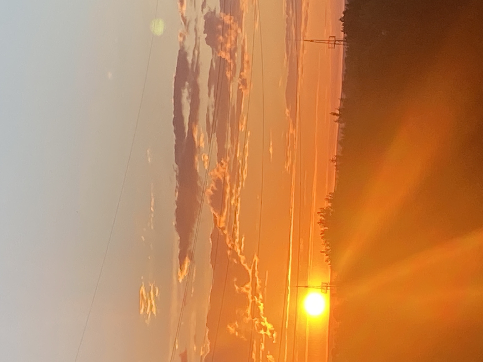 This is a vertical, outdoor photograph of a sunset. The sun is a bright, glowing orb on the right side of the frame, casting a warm, orange light across the scene. The sky transitions from a soft, pale yellow at the top to a vibrant orange near the horizon. Wispy clouds, illuminated by the setting sun, are visible in the upper portion of the image.
In the middle ground, power lines stretch horizontally across the frame, supported by utility poles. These lines cut through the colorful sky, creating a geometric contrast with the natural elements. To the right of the power lines, silhouetted trees form a dark, dense line along the horizon, suggesting a forest or wooded area. The ground is not clearly visible, but the overall impression is a rural or semi-rural setting.
The intense colors of the sunset evoke a sense of warmth and tranquility. The lighting suggests it is late evening, during the golden hour. There is no visible text in the image. The location context of Novokuybyshevsk, Russia, places this scene within a specific geographical setting.