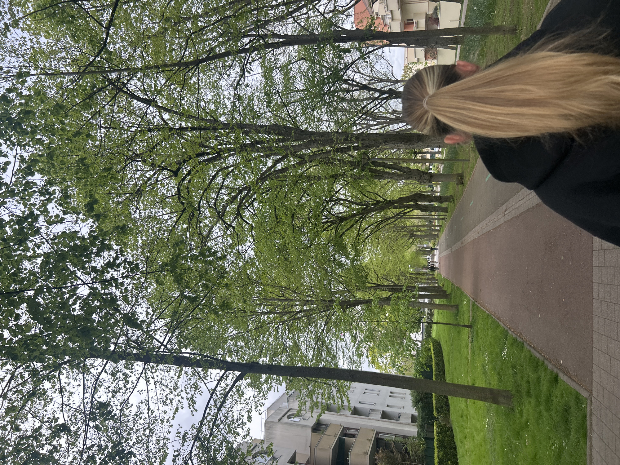 The image shows a tree-lined walkway in Noisiel, France. The walkway is made of reddish-brown asphalt and bordered by green grass and neatly trimmed hedges on one side, and grey pavement on the other. Buildings are visible behind the trees. On the right side of the frame, a woman with blonde hair tied in a ponytail is partially visible. The trees are in full leaf, creating a canopy over the walkway. The sky is overcast. Other pedestrians appear in the distance, walking along the path.
