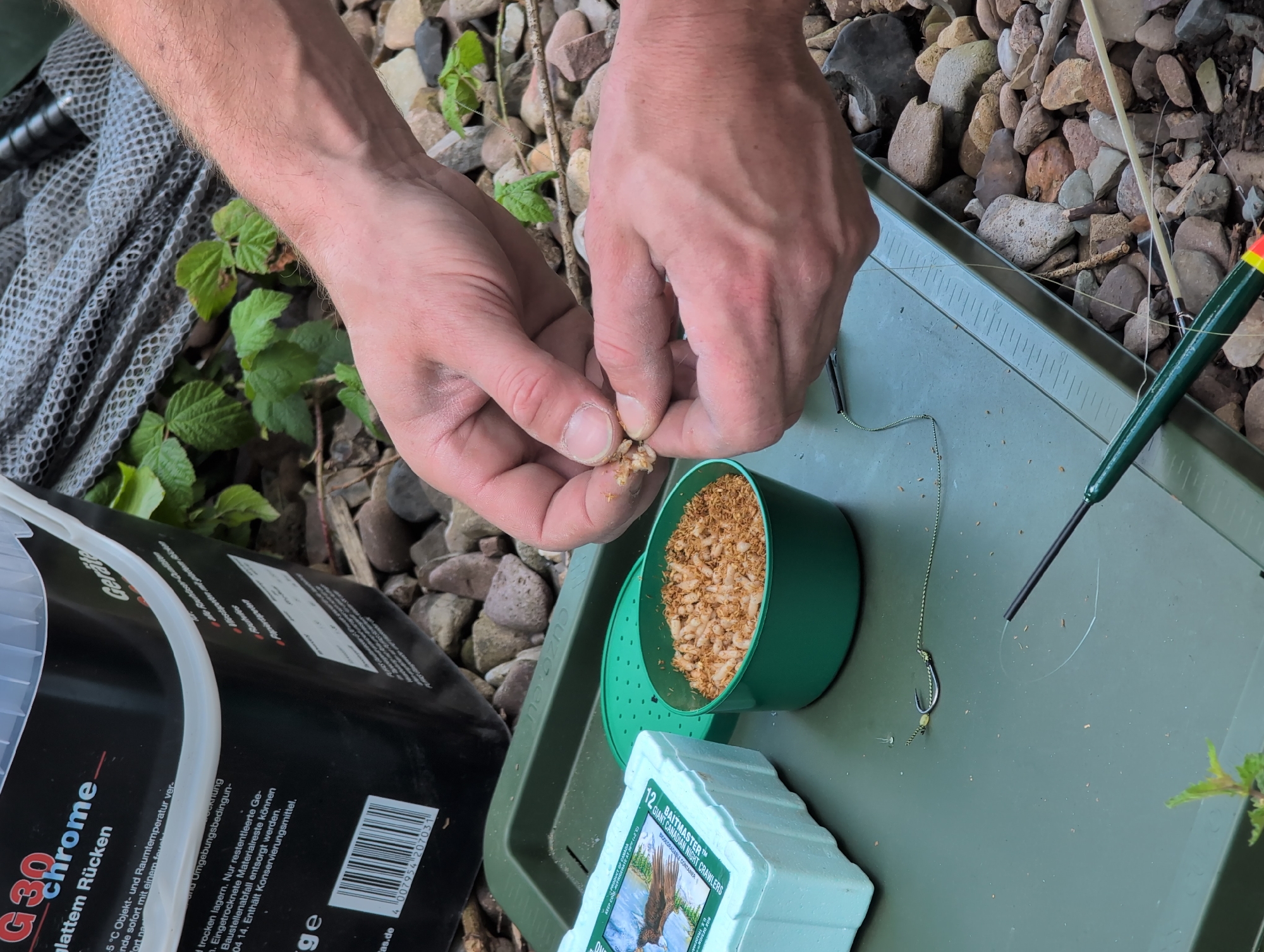 The image depicts a close-up view of hands preparing fishing bait outdoors, with the scene likely set near the city of Petershagen, Germany, given the context. The foreground is dominated by a green plastic tray on which a small green bowl filled with maggots and a styrofoam box containing more bait are placed. A fishing hook, attached to a line, is visible on the tray. In the mid-ground, a person's hands are actively handling the maggots, seemingly baiting a hook or preparing a lure. The background features a collection of various sized rocks and some green foliage, suggesting a natural, outdoor environment. A black plastic bucket with labeling is partially visible in the upper left corner. The overall impression is one of meticulous preparation for an outdoor activity, likely fishing.
