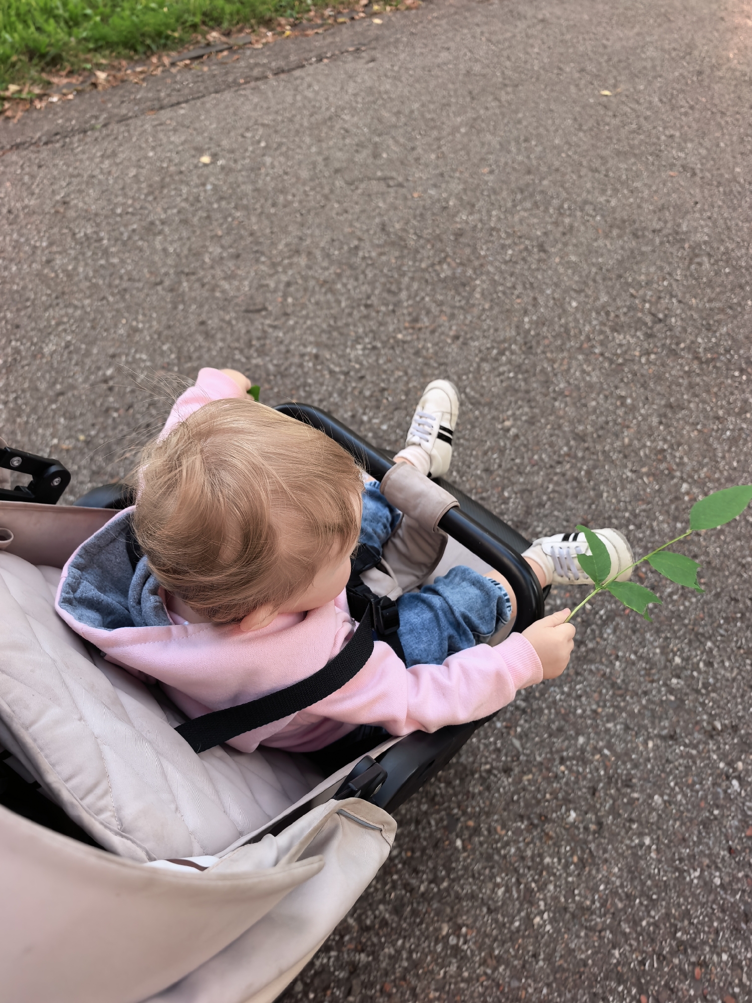 A high-angle, close-up shot shows a young child in a stroller. The child is wearing a pink hoodie and blue jeans, with white sneakers on their feet. They are holding a small green branch with several leaves. The stroller is positioned on an asphalt path, with a strip of green grass and fallen leaves visible along the edge. The scene appears to be outdoors, likely in a park or residential area. There is no specific indication of the location being in Sterlitamak, Russia.
