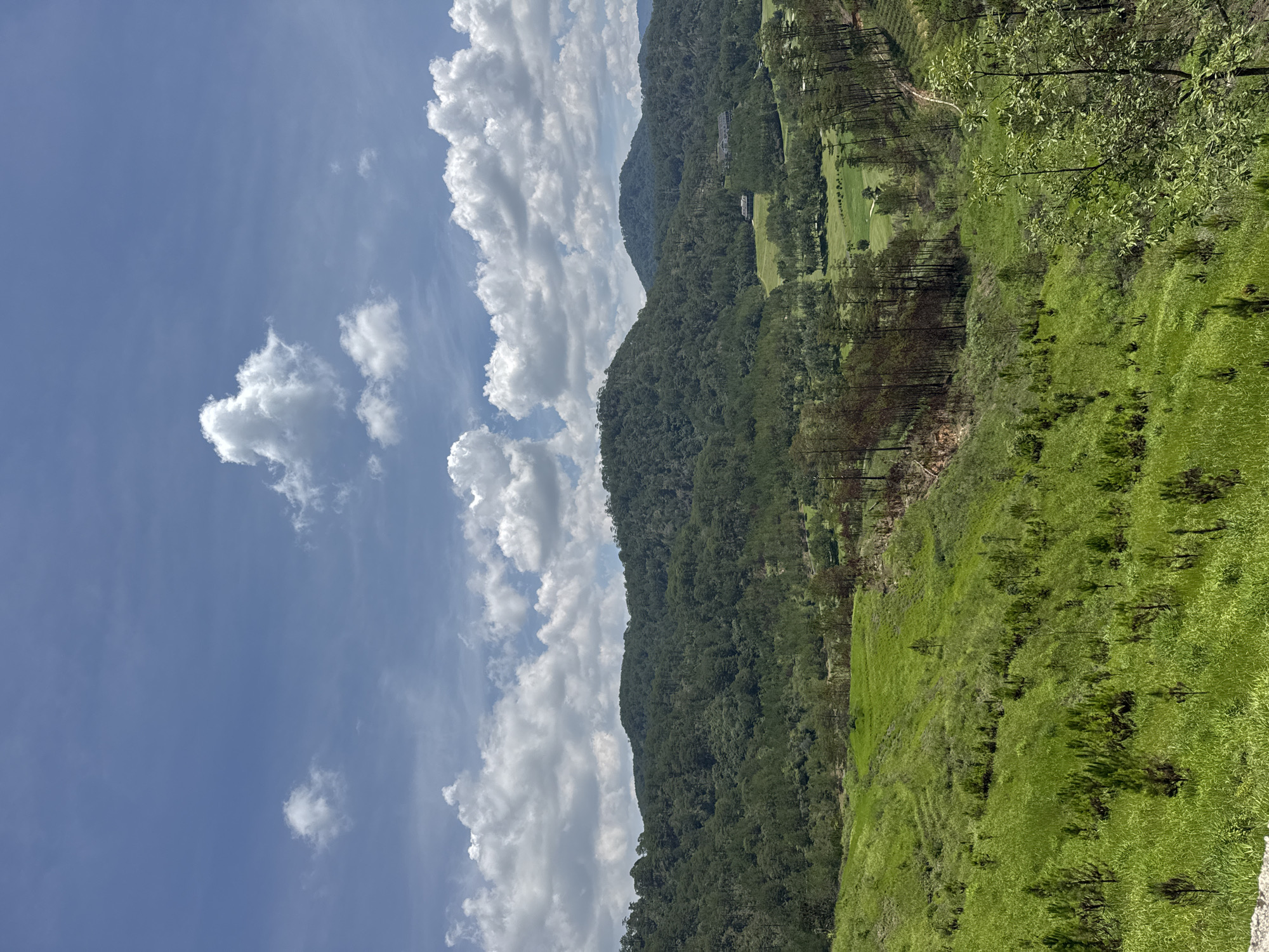 The image depicts a landscape in Hiep Thanh, Vietnam, featuring a combination of natural and man-made elements. A lush green hillside dominates the foreground, transitioning into a densely forested mountain ridge in the midground. Patches of taller trees dot the landscape. The background showcases a bright blue sky filled with cumulus clouds. A glimpse of a golf course can be seen on the far side of the mountain. The image is taken from a slightly elevated perspective.
